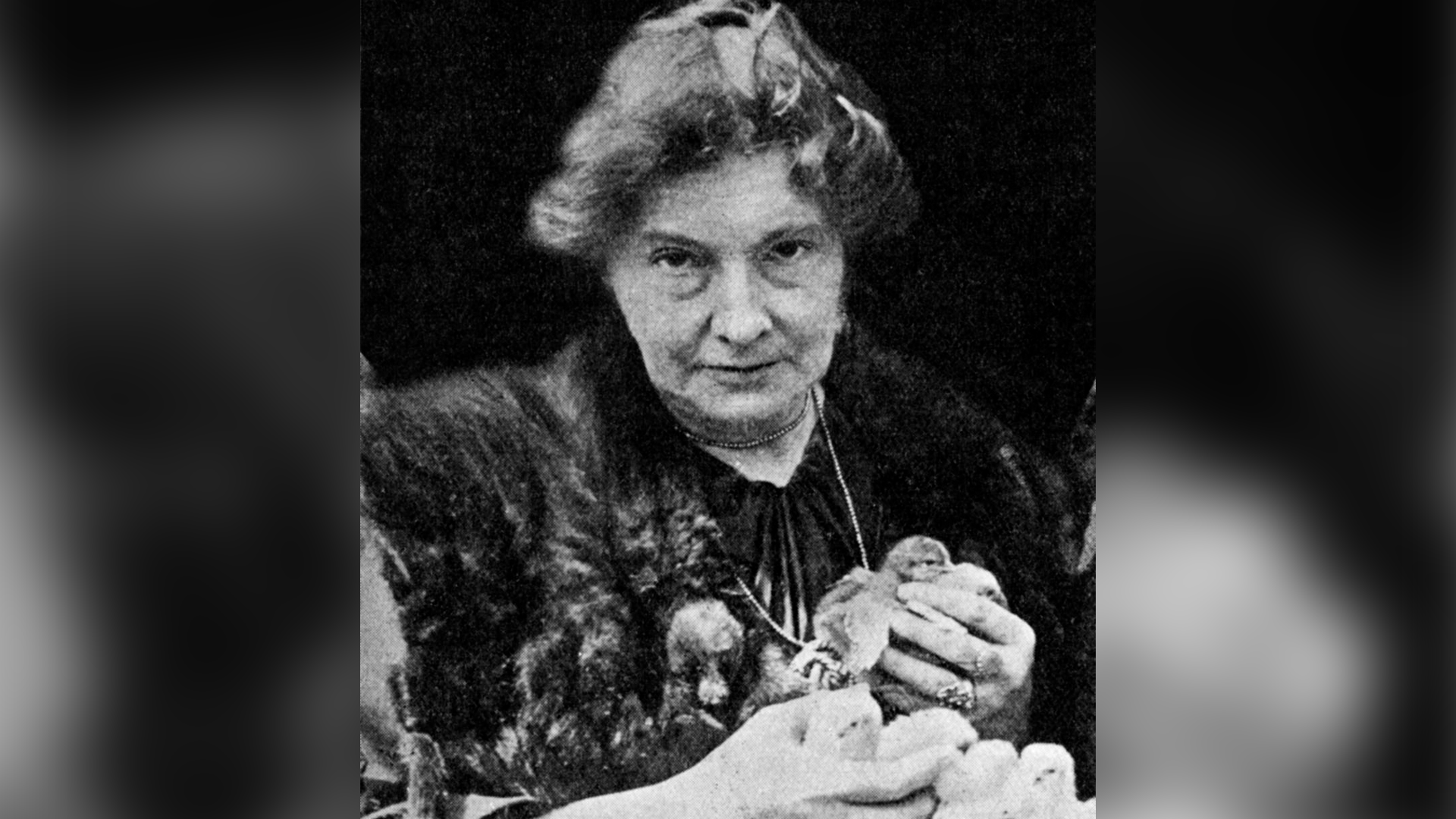 A black and white photograph of the author edith nesbit holding a number of chicks in her hand