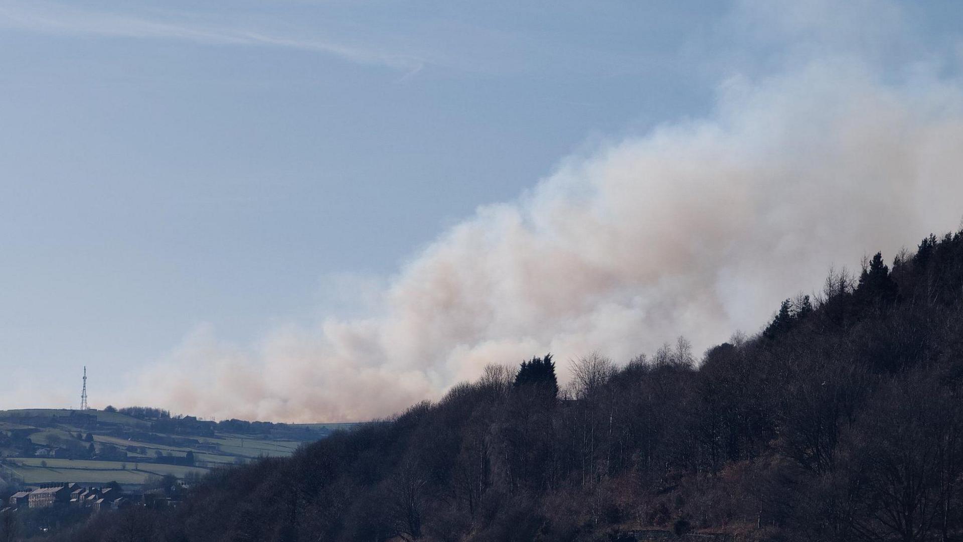 Smoke on moorland horizon with trees and bushes in foreground