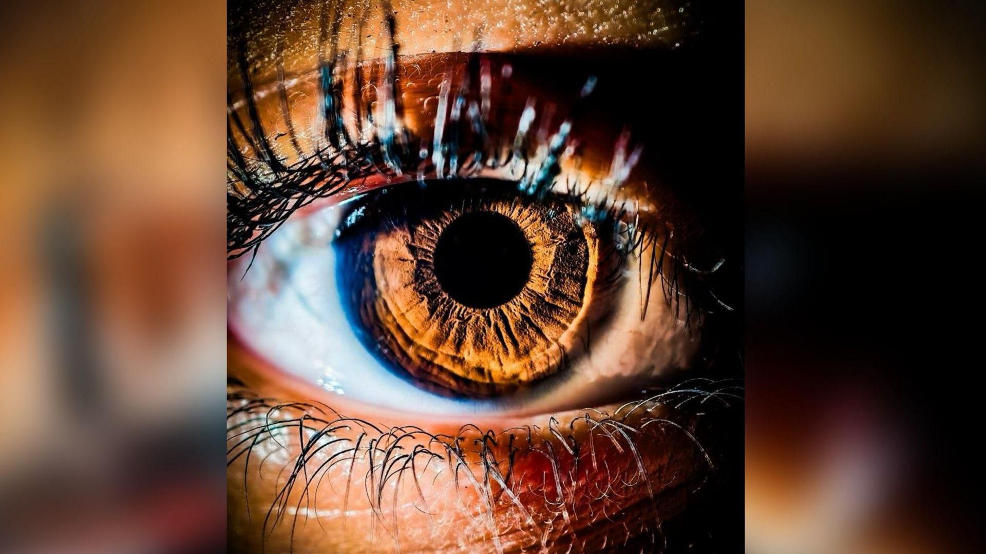 A close up of a very detailed brown eye with black eyelashes, looking directly into the camera. 