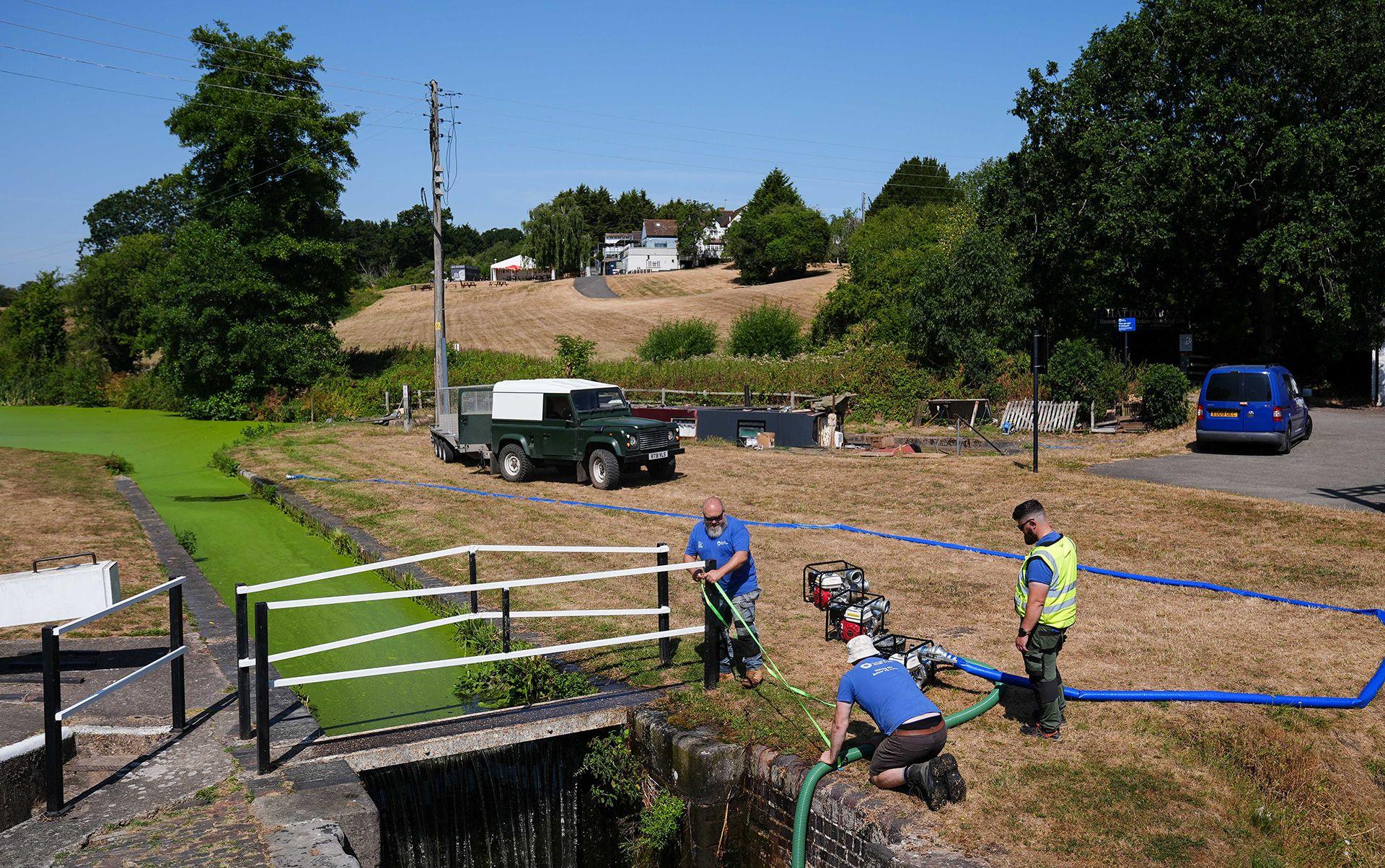 Three people, one in a high vis vest, direct a hose into the Hatton lock stretch of the Grand Union Canal in Warwickshire amid bright green canal water and brown, parched grass on its banks, with cars, houses and trees in the background on a sunny Wednesday afternoon.