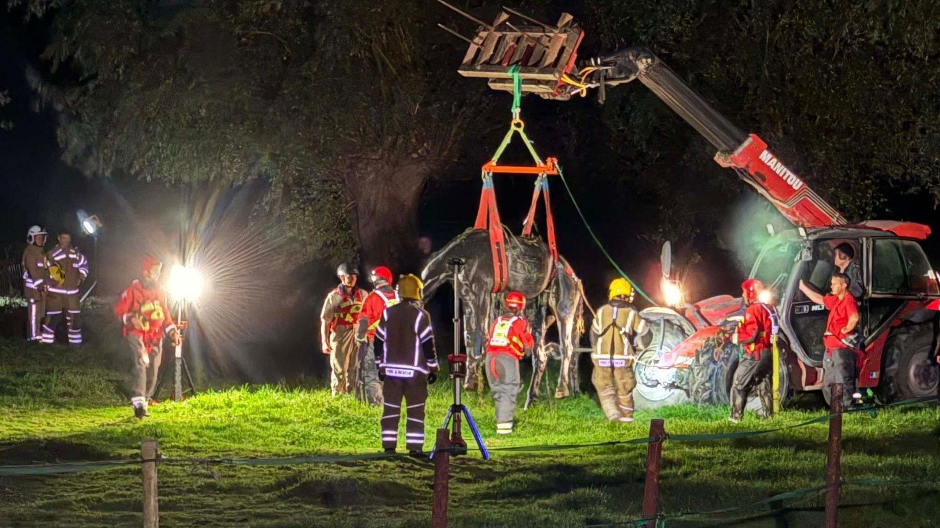 A red forklift lifting a black horse up. The image has been taken at night time and there are several fire crews around it.