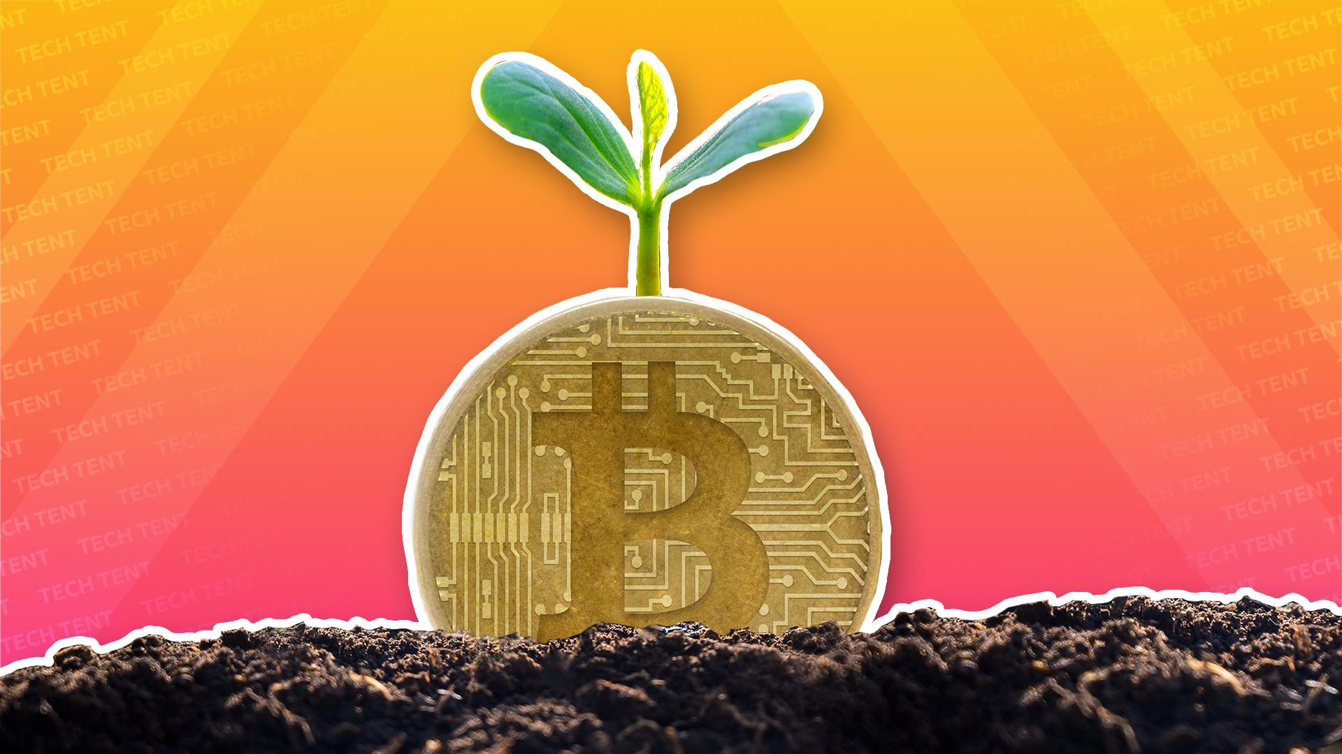 A green sprout grows from some Bitcoin