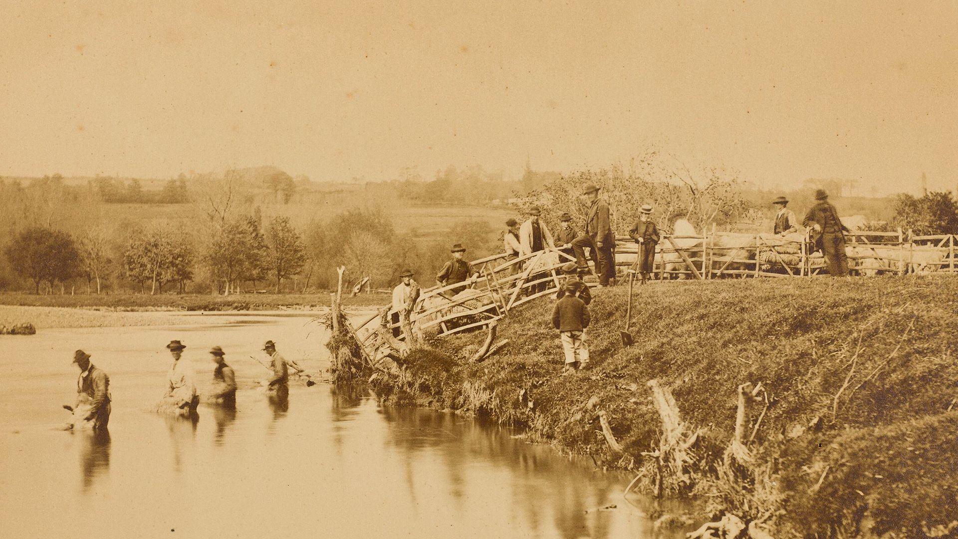 Hen lun du a gwyn o bobl yn golchi defaid mewn afon