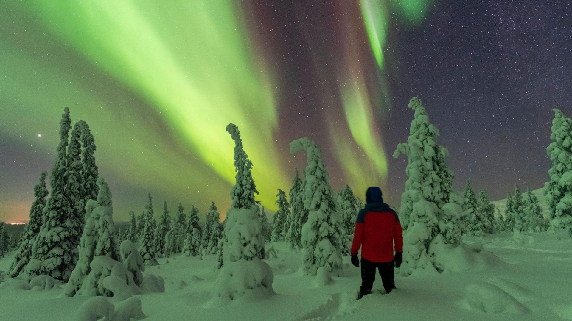 A person viewing streaks of light in the sky in a snowy environment