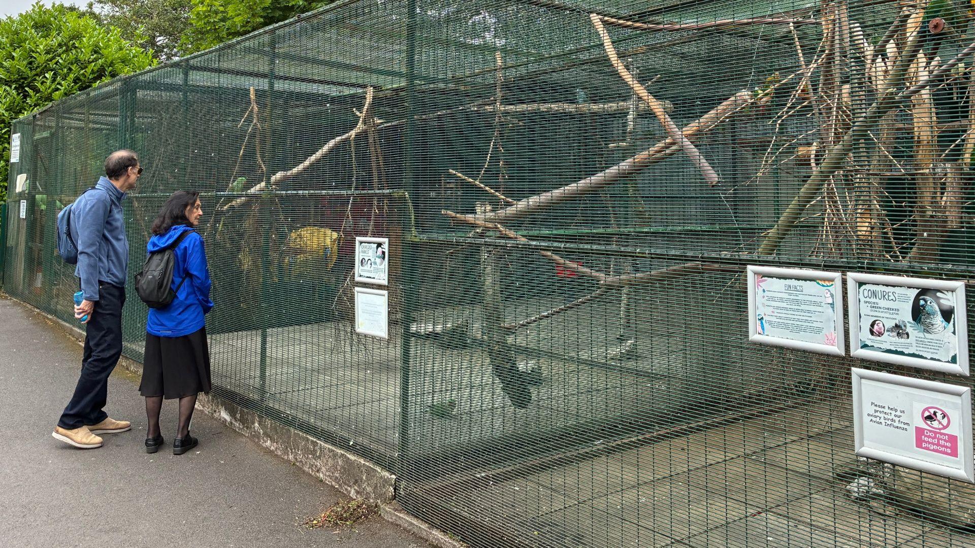 A man with brown hair wearing a blue coat, black trousers and beige shoes with a woman with an electric blue coloured coat, black skirt, black tights and black shoes look at cages of birds in an aviary.