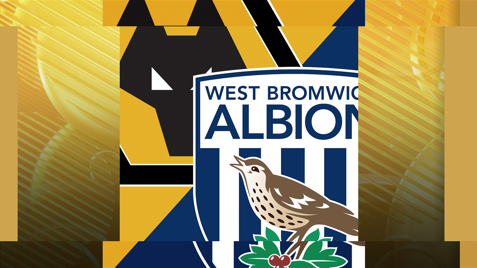 Wolves v West Brom