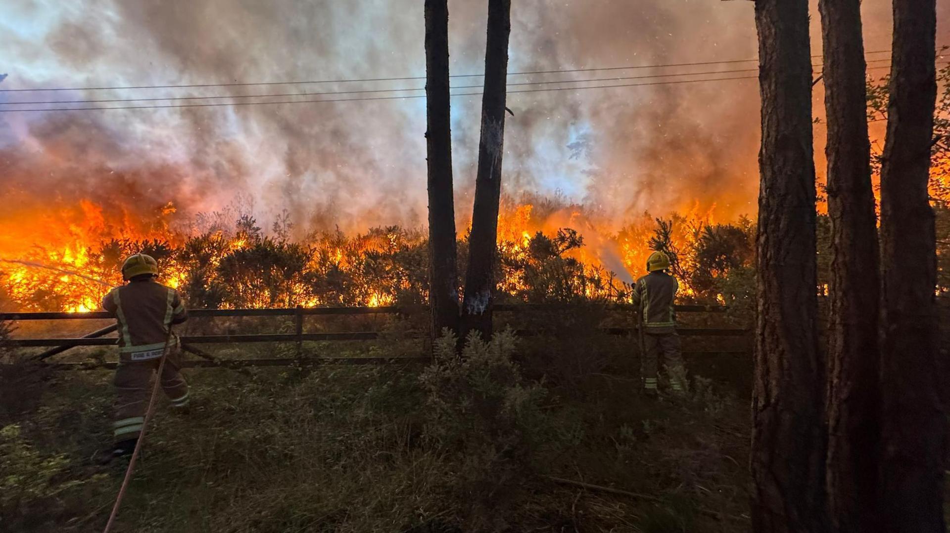 Two firefighters fight a blaze of bright orange flames and smoke in a forest by spraying their hoses at it.