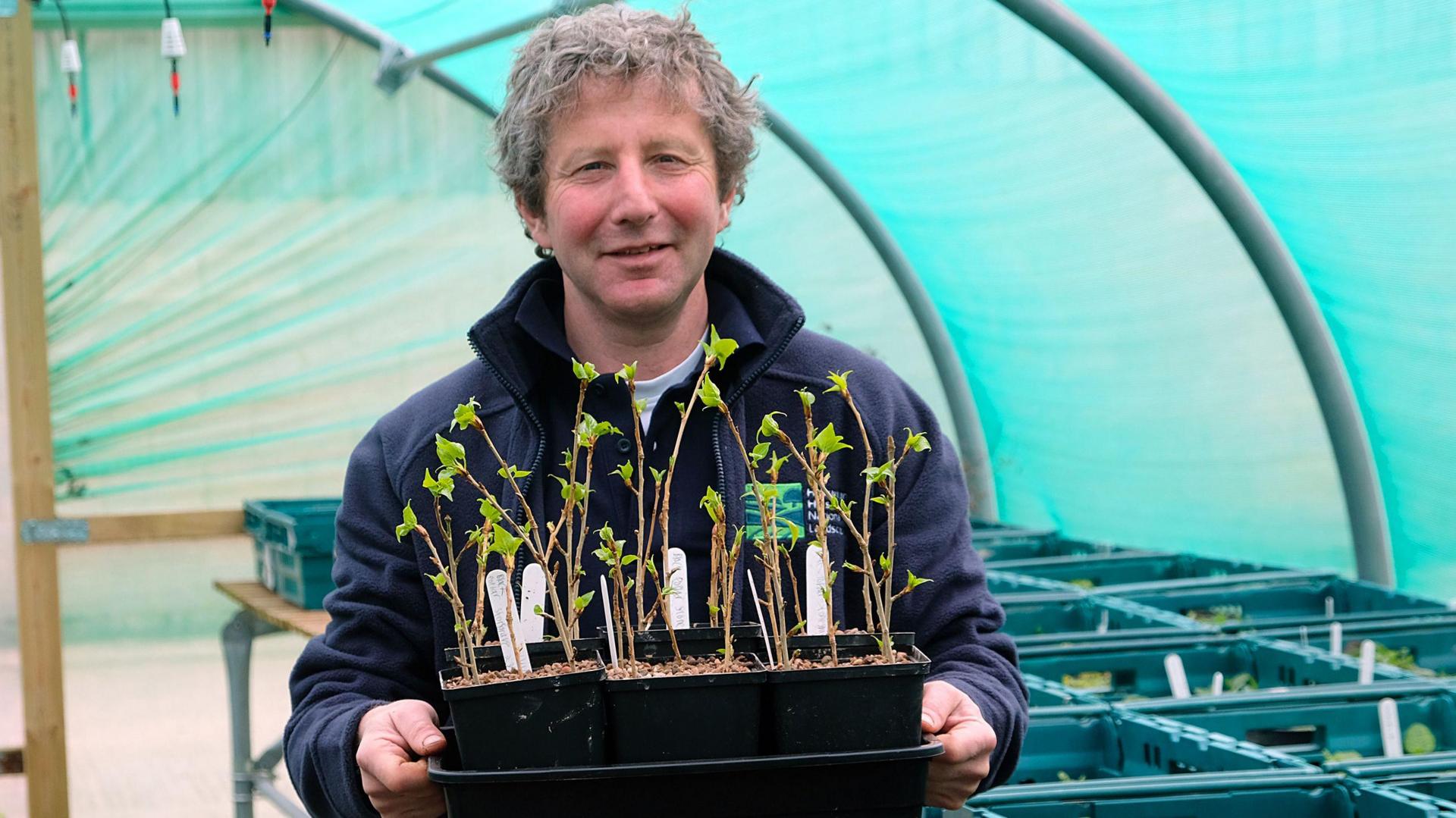 Revival project for endangered native trees