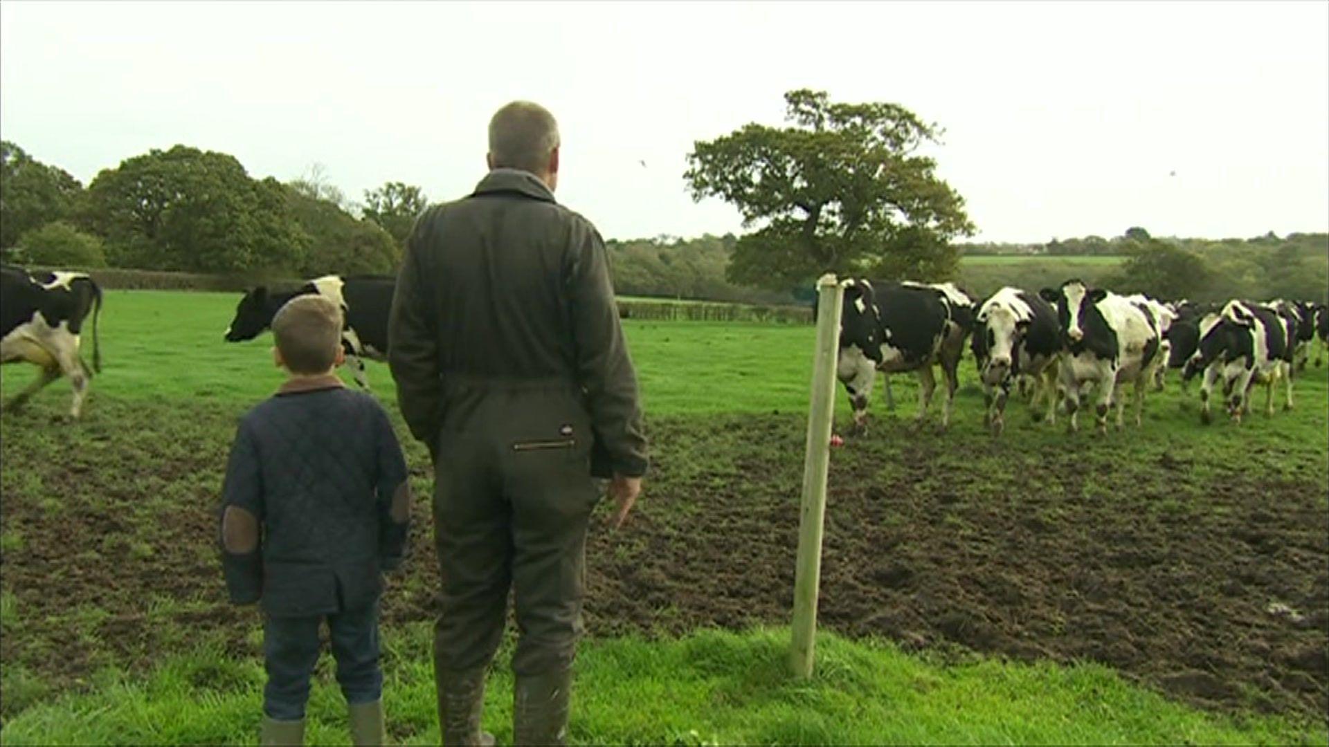 Archie, 8, and his father Nigel Holliday face away from the camera watching a herd of cows pass by in a field