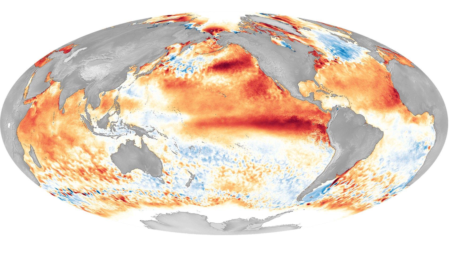 Map of global sea surface temperature anomalies in 2016, with unusually warm waters in the Pacific 