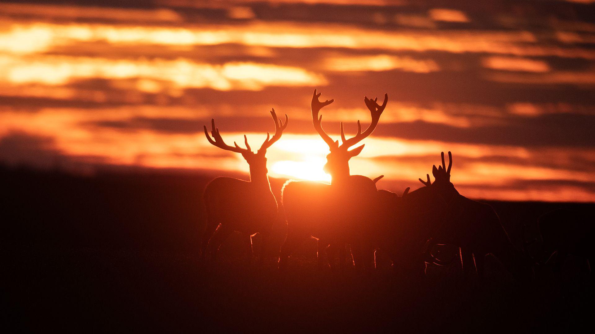 Villager Jim's 'staggering sunrise' captured in Derbyshire