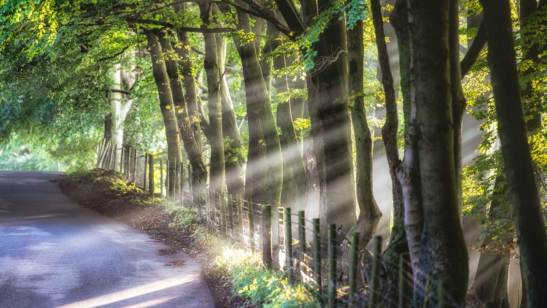 The village of Great Hucklow in Derbyshire during a misty September