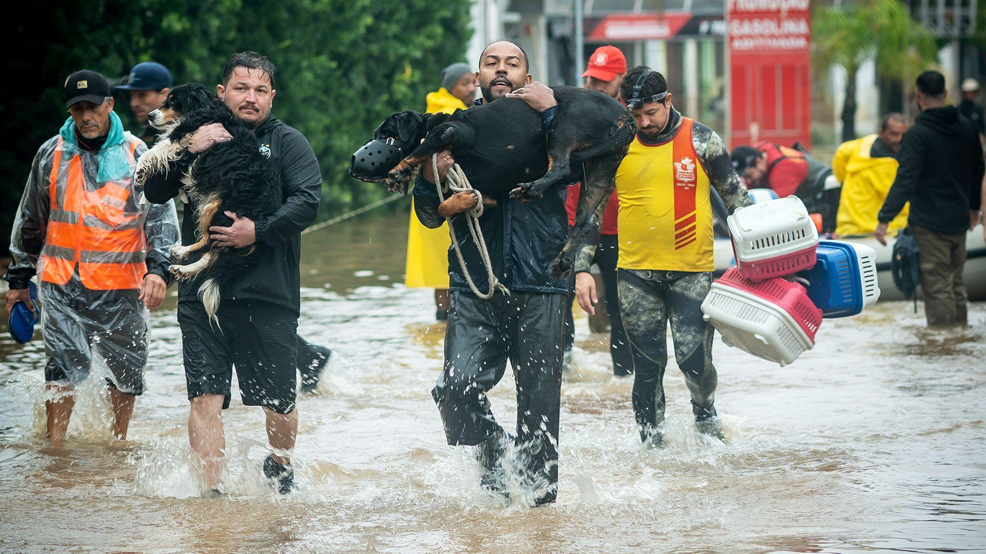 People carry dogs and belongings through floodwater in Porto Alegre in May 2024.