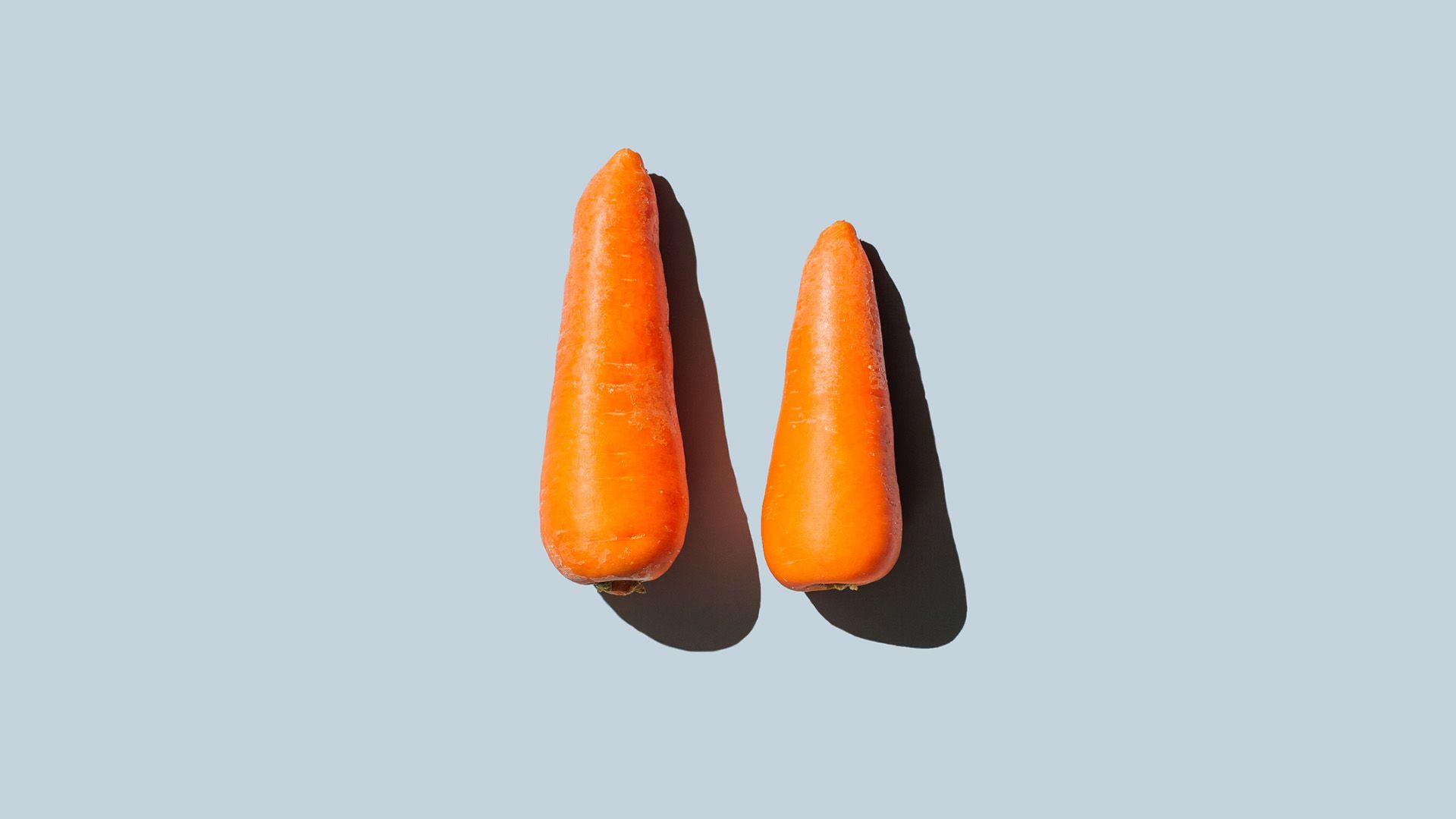Two carrots on grey/ blue background