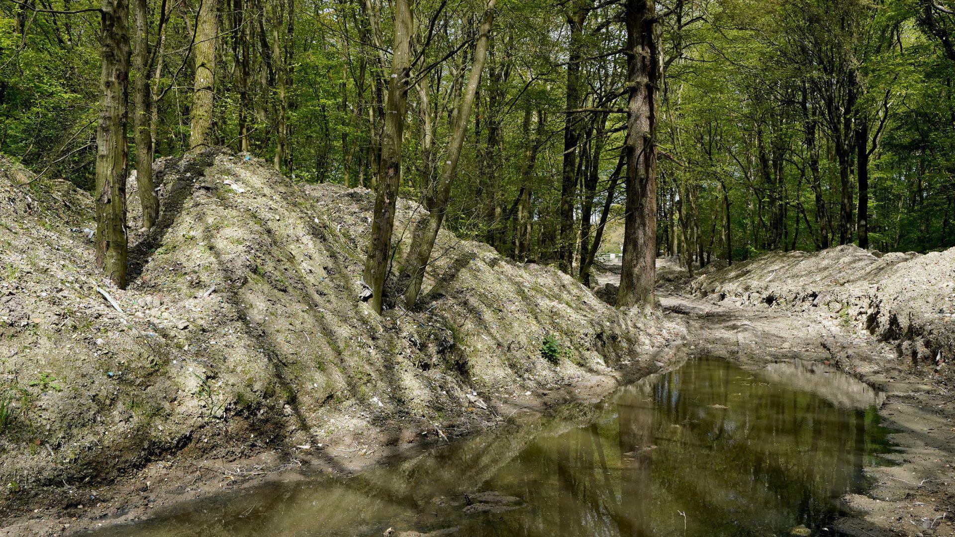 Piles of compacted waste was piled about four metres high either side of a track which runs through woodland