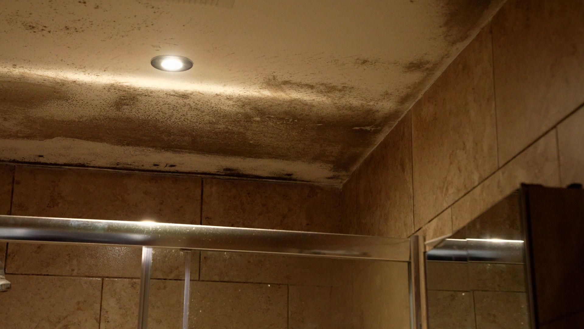 black mould on a bathroom ceiling at Megan's house