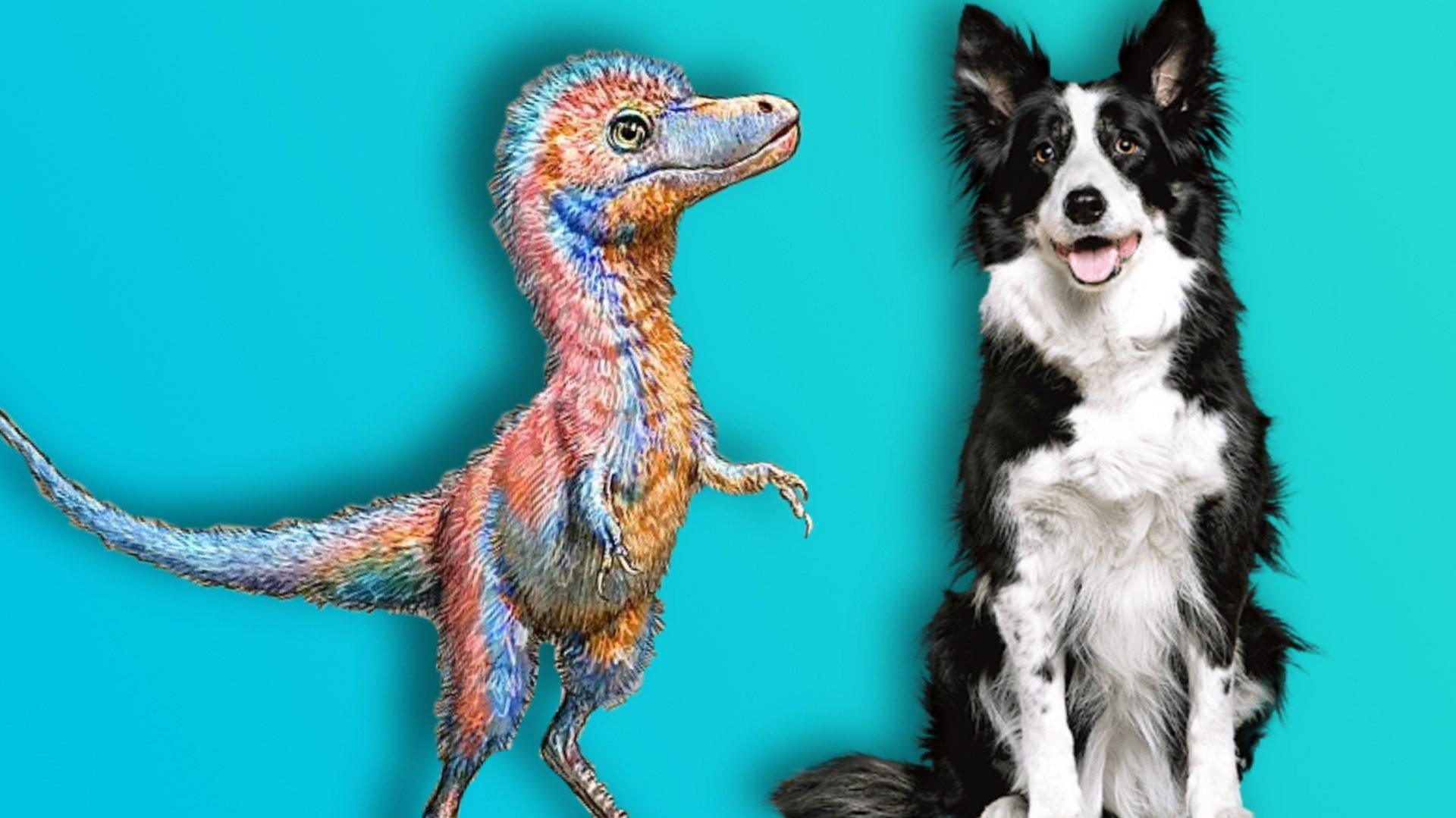 Dinosaur-and-dog.