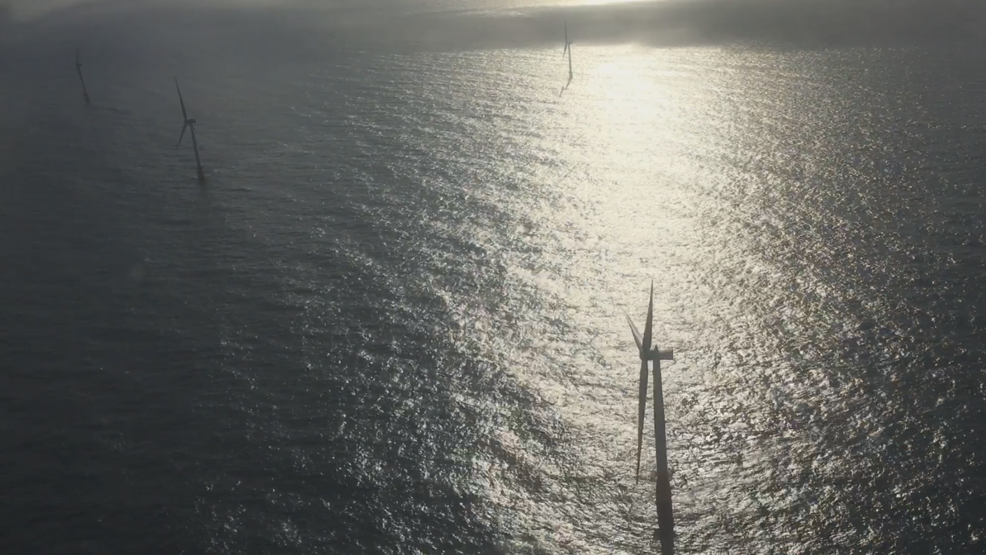 Floating wind farm