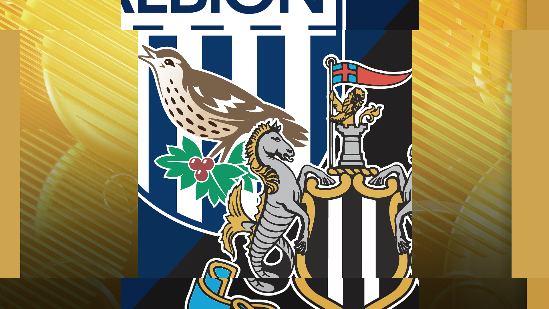 West Brom v Newcastle