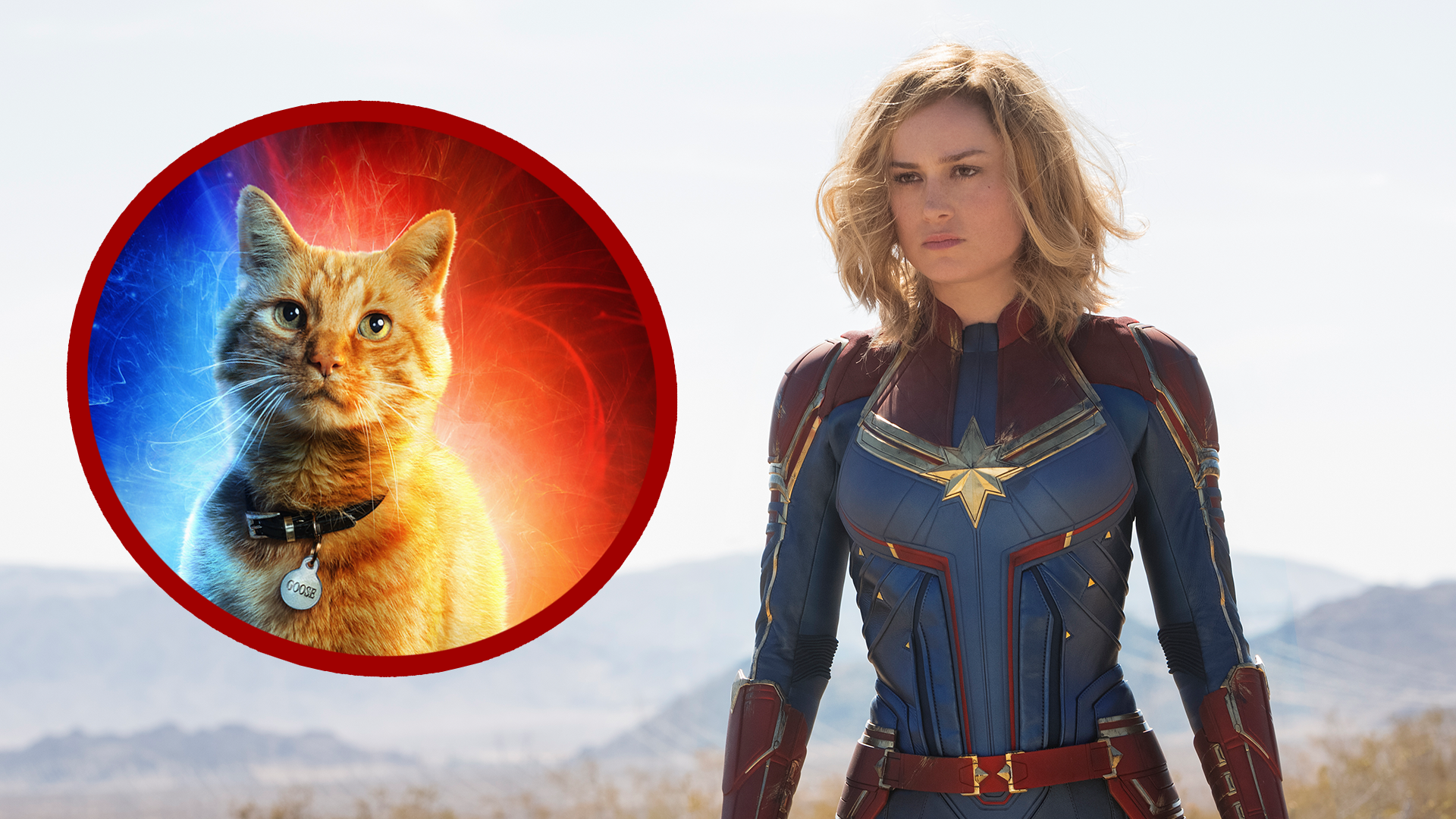 Brie Larson as Captain Marvel with cat.