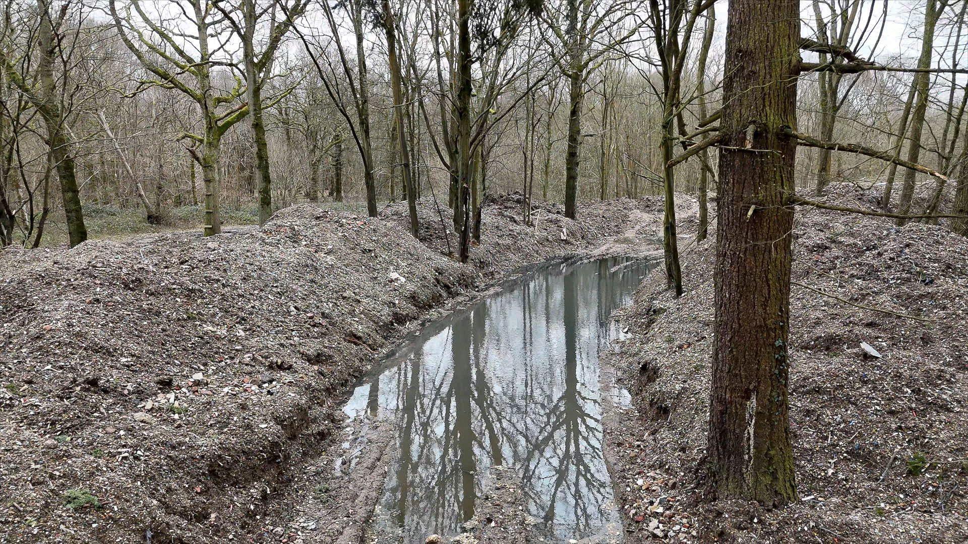 A woodland area, with piles of waste