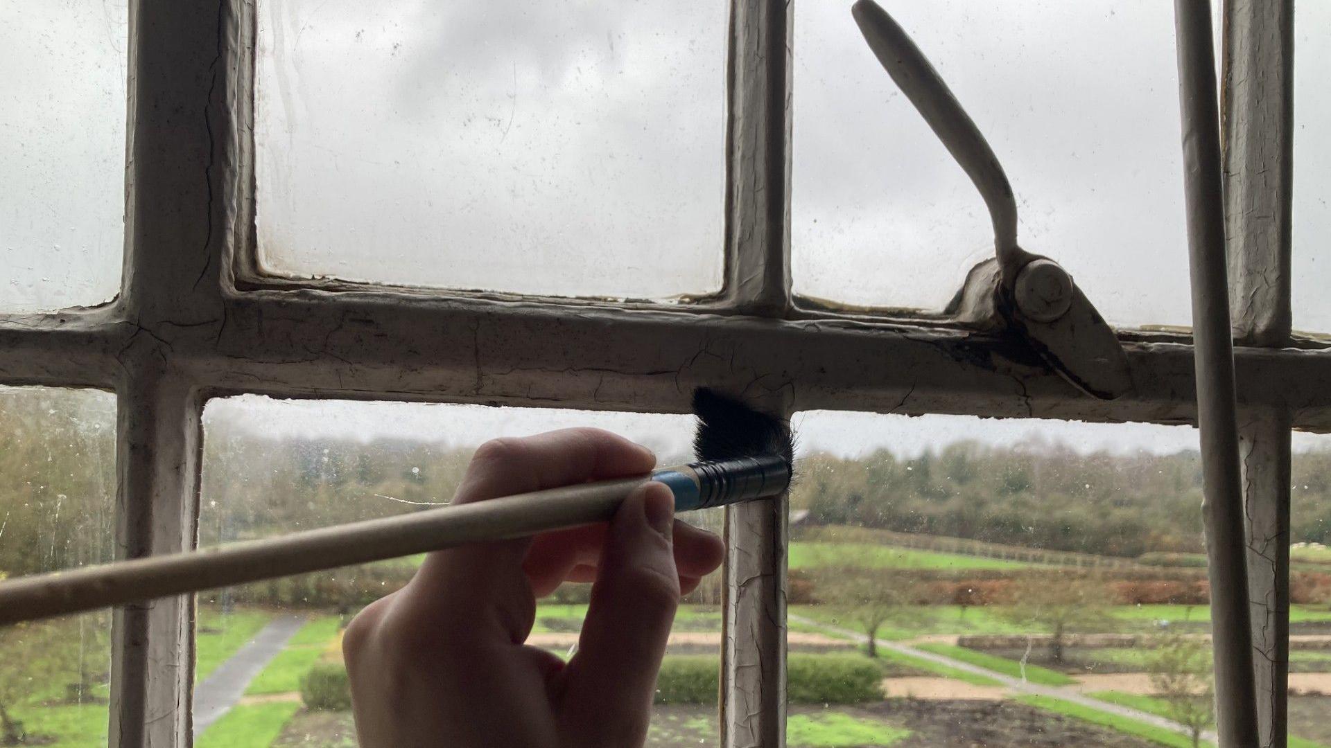 A hand holding a paintbrush to clean an old style window, overlooking a garden