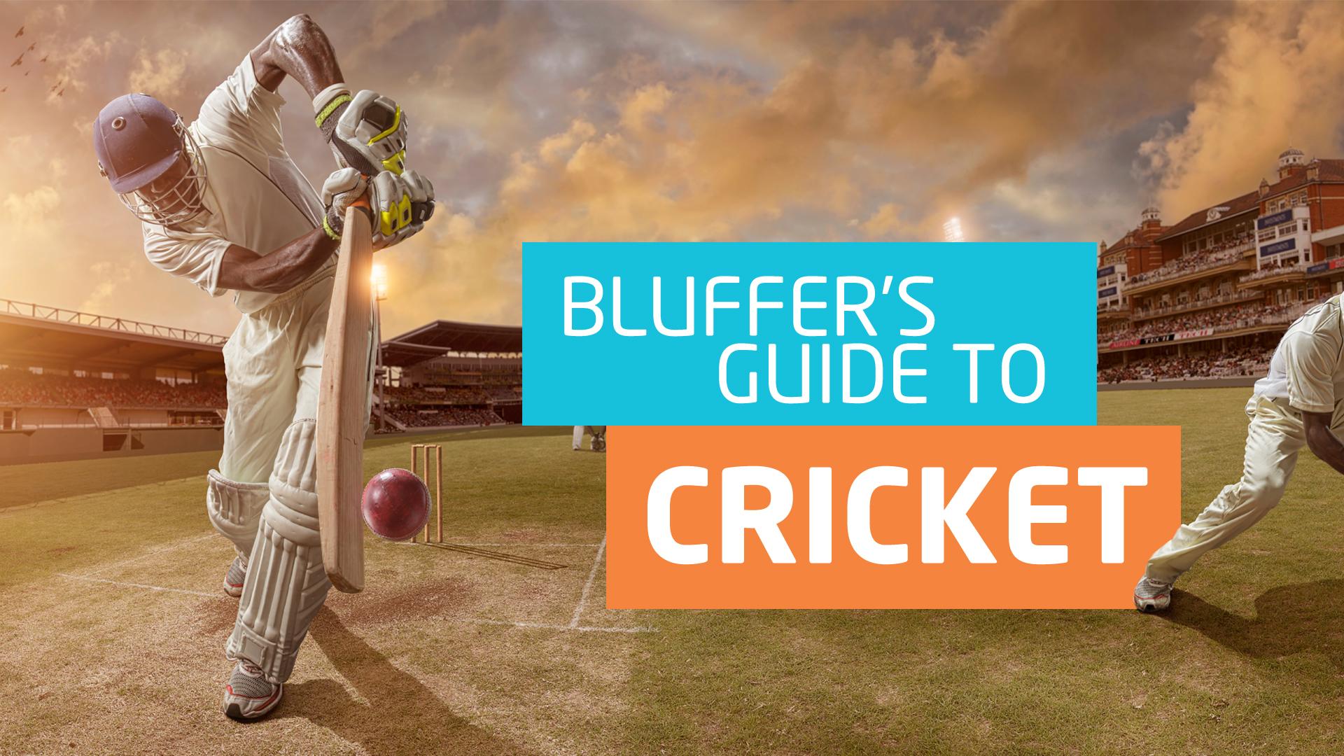 Bluffer's guide to cricket