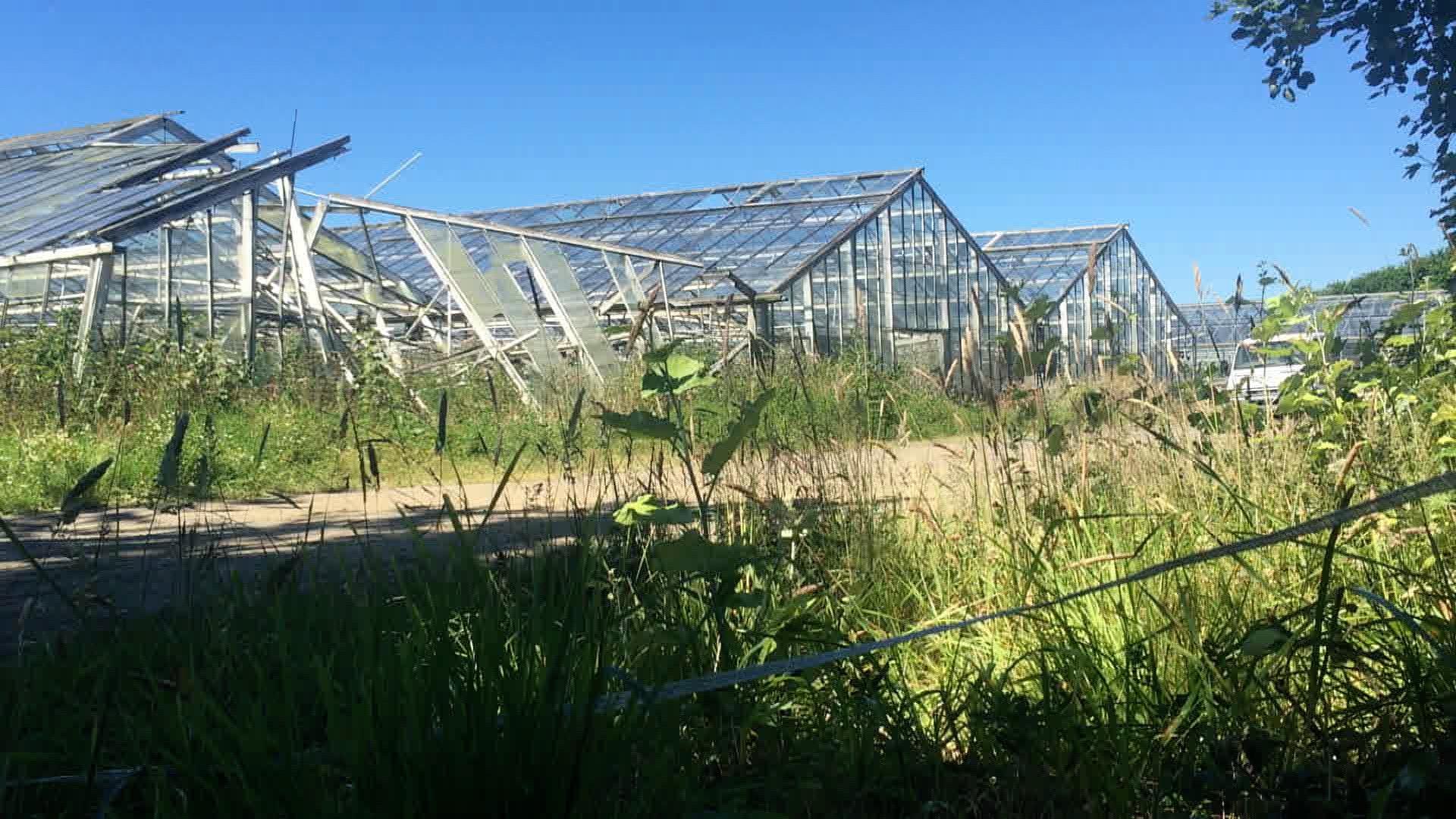 Disused vinery