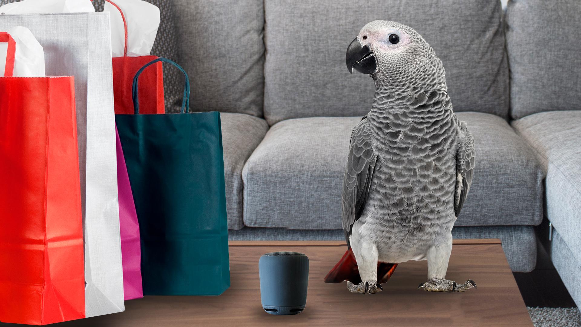 A parrot with shopping.