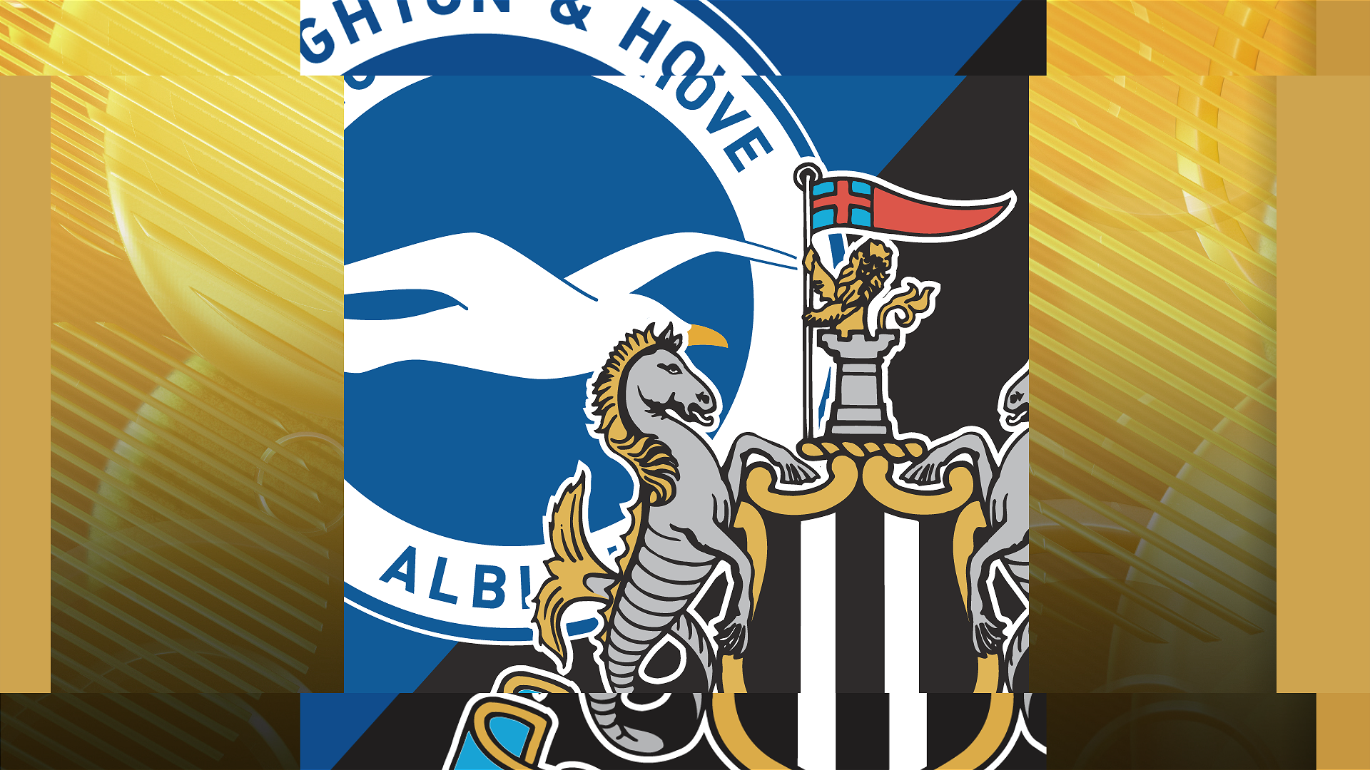 Brighton v Newcastle