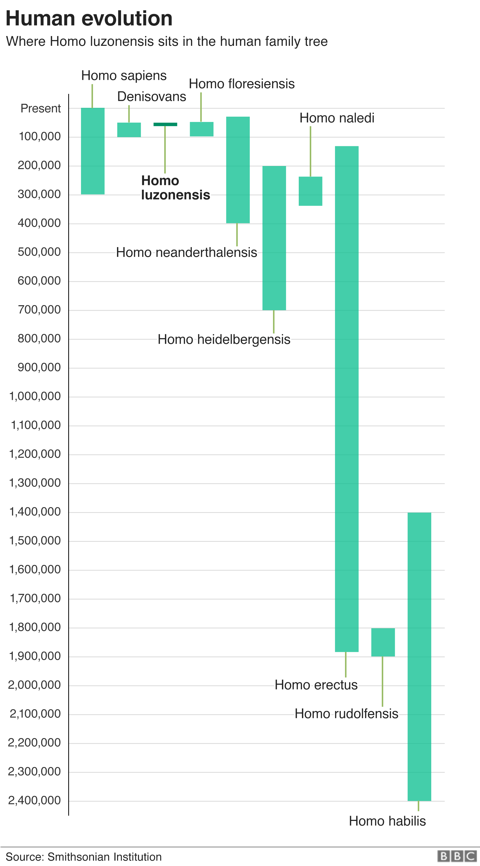 Infographic