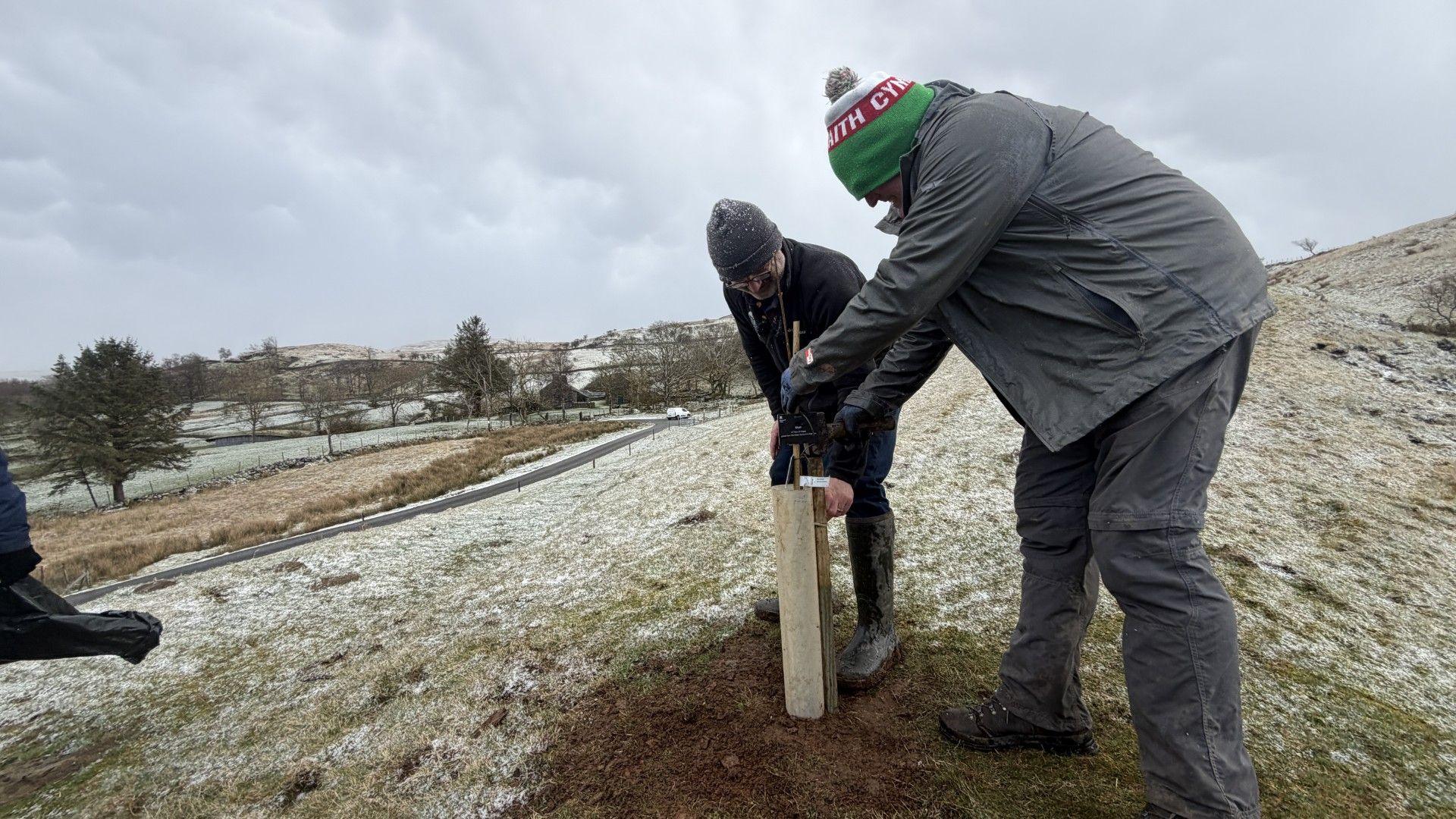 Dynion yn plannu coeden