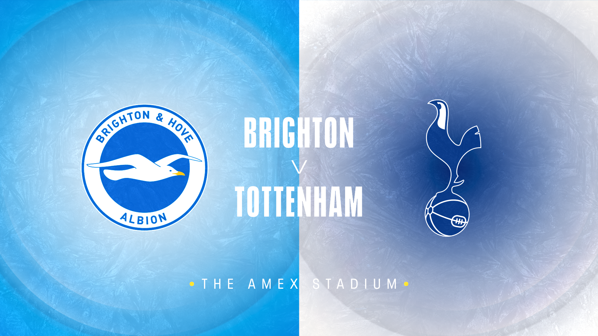 Brighton v Tottenham