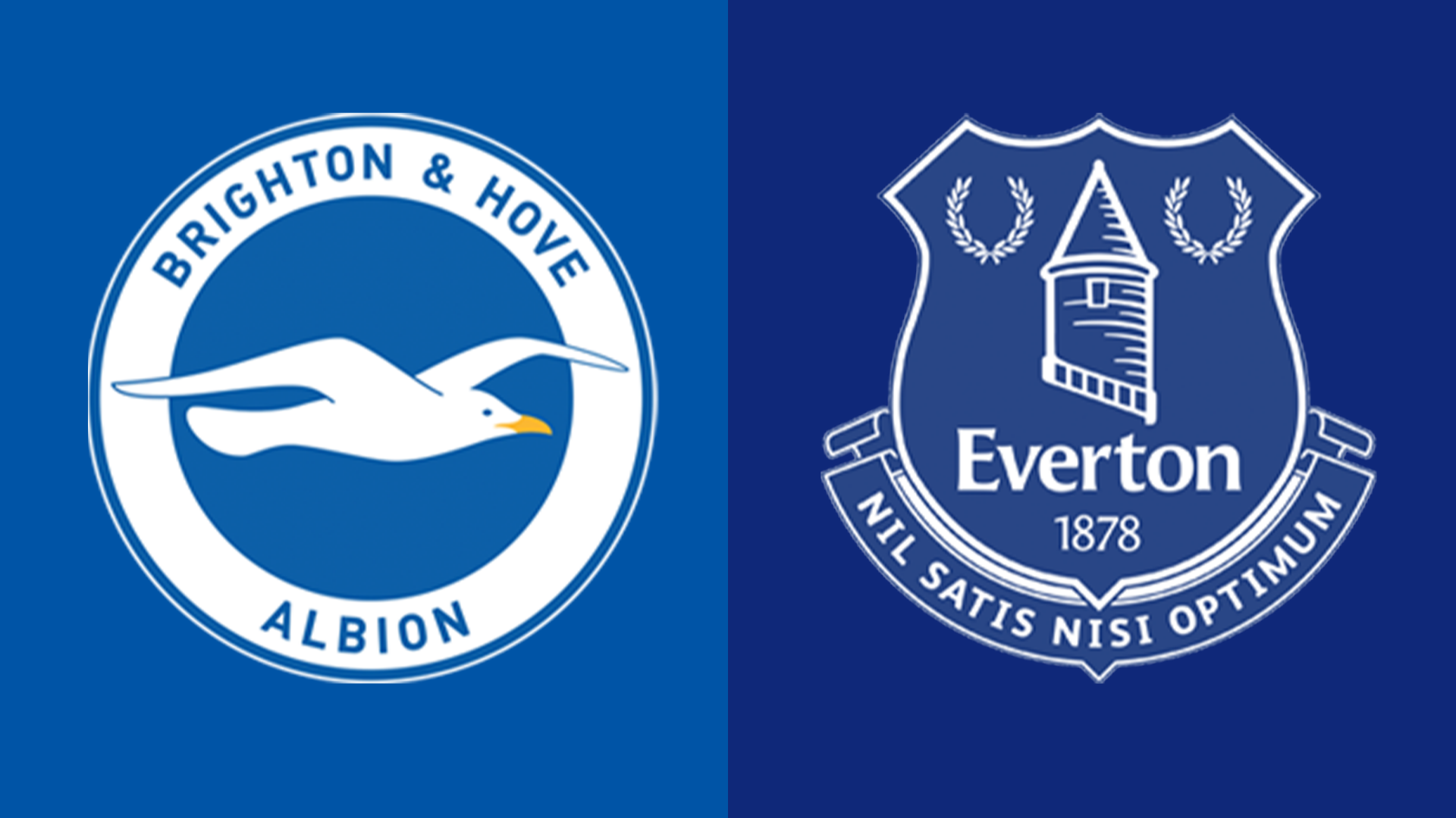 Brighton v Everton