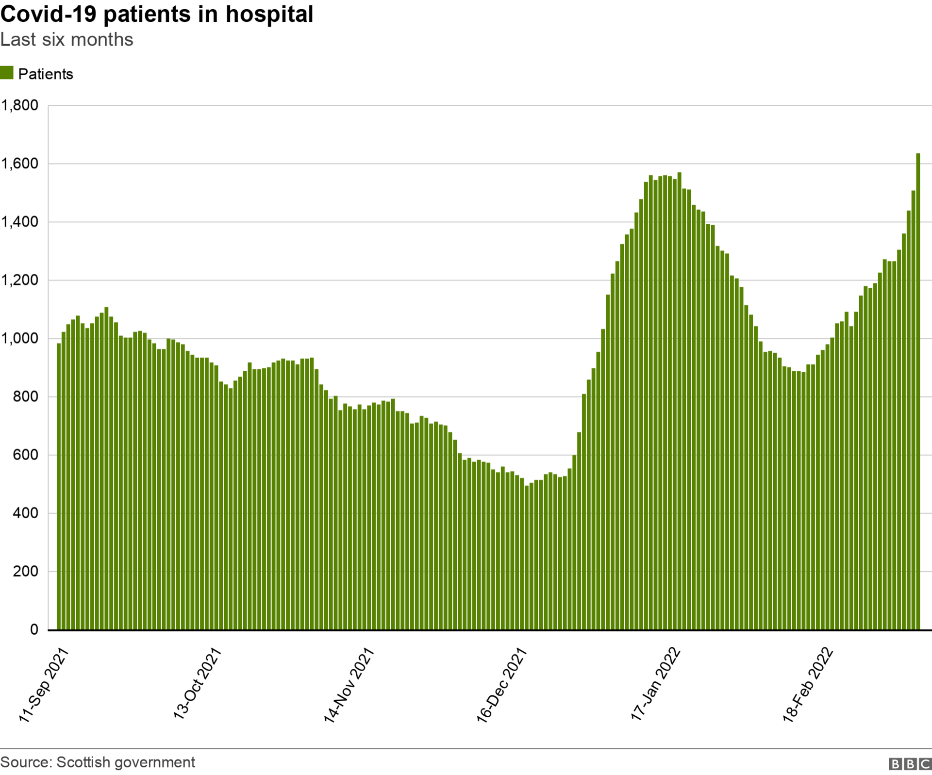 hospital numbers