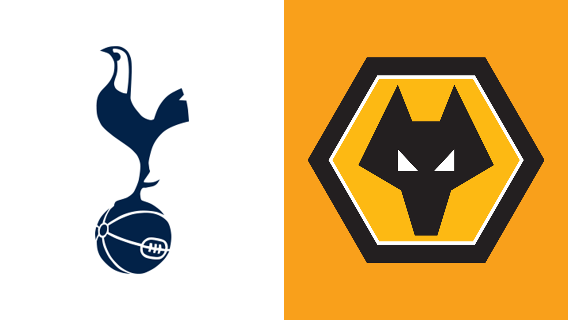 Tottenham v Wolves