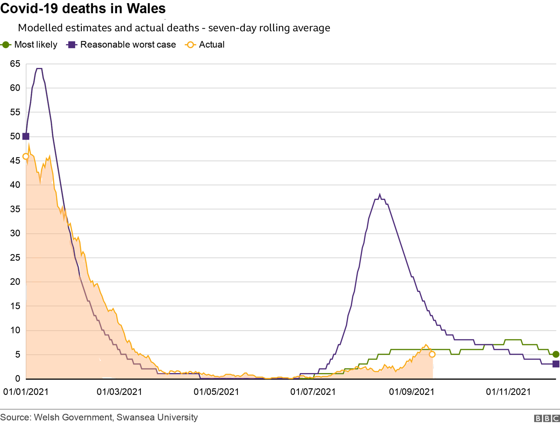 Modelling showing the number of Covid deaths