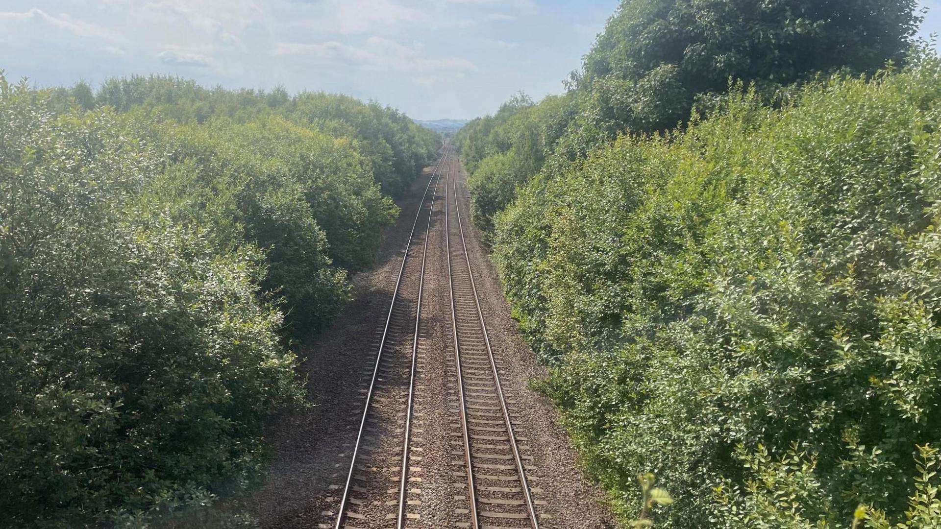 Two tracks of railway lines stretch out into the distance with bushes on both sides of the track