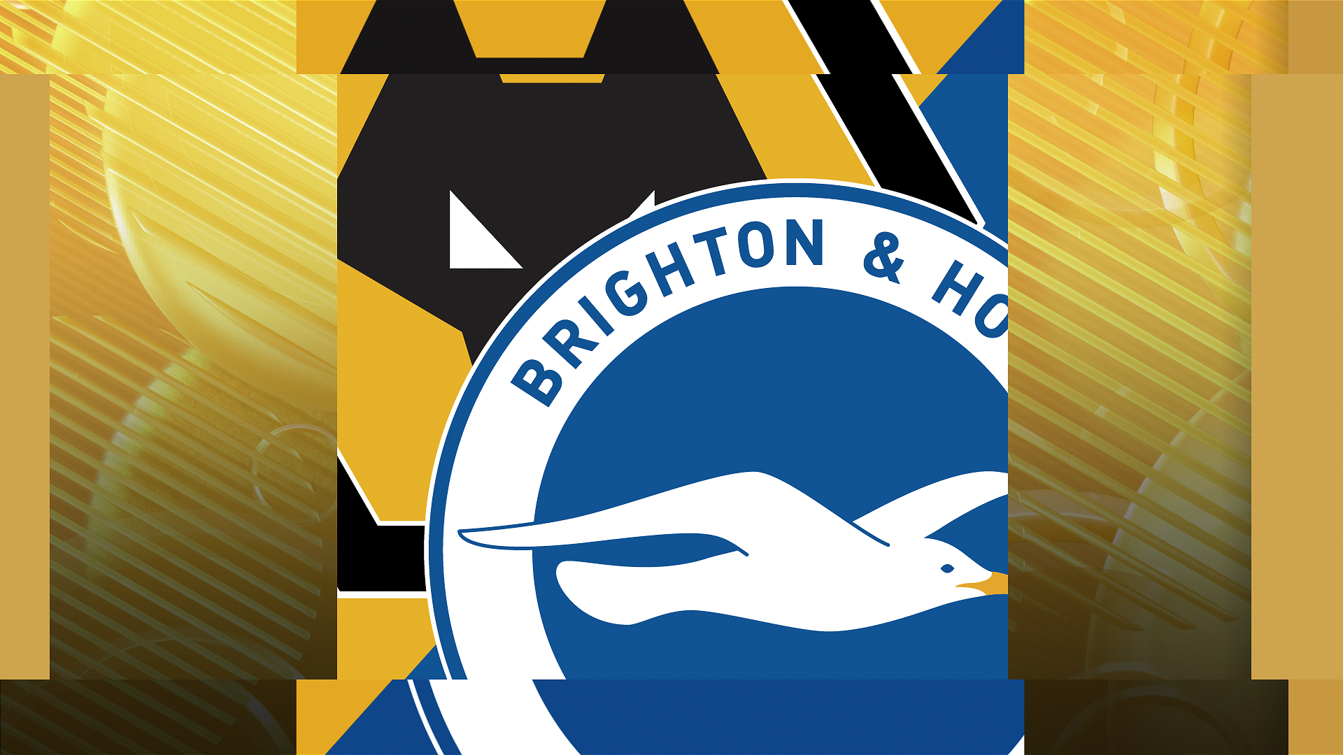 Wolves v Brighton