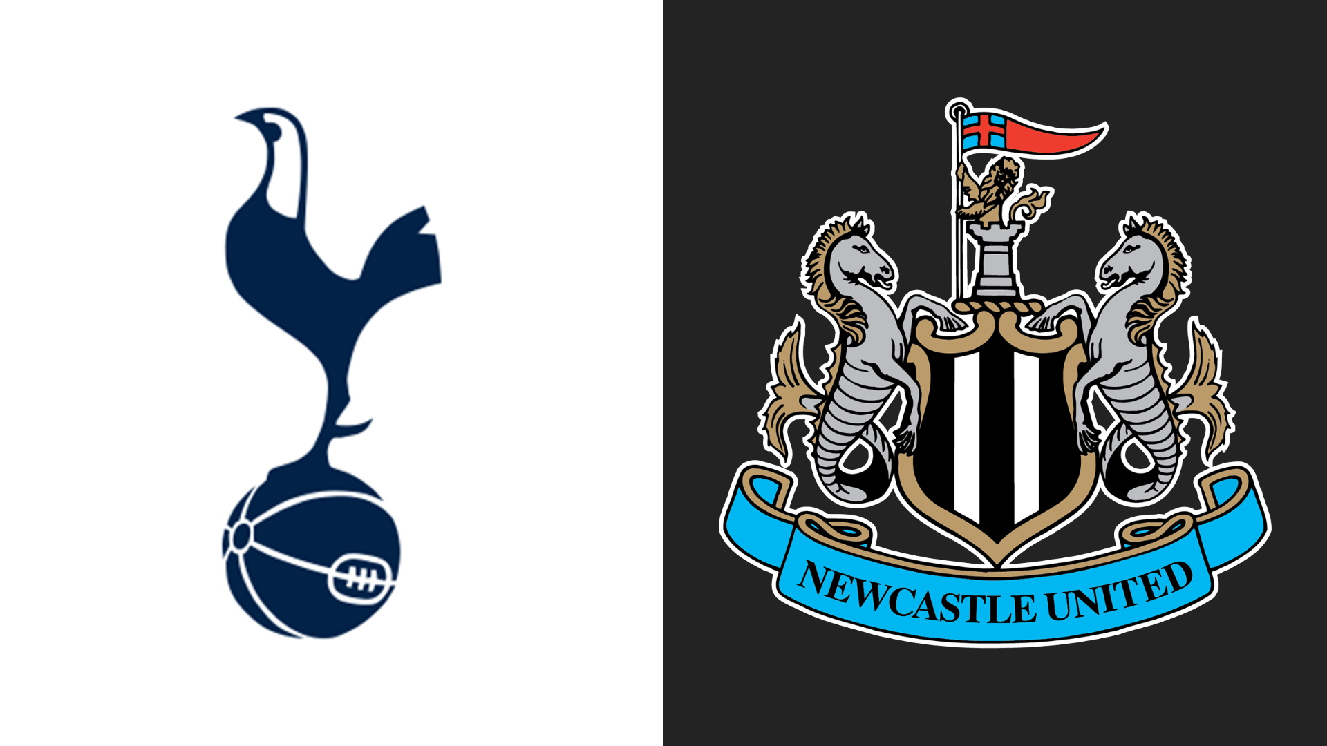 Tottenham v Newcastle