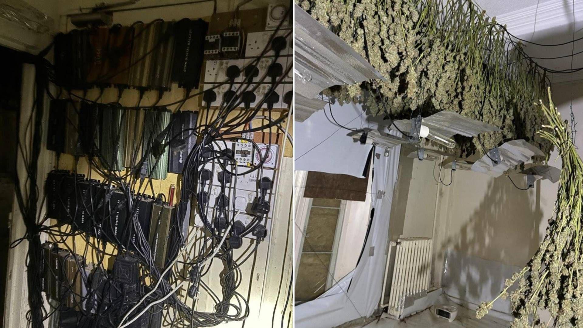 Electricity was bypassed in the house with plug sockets overloaded, and a second picture with cannabis plants hanging up and drying 