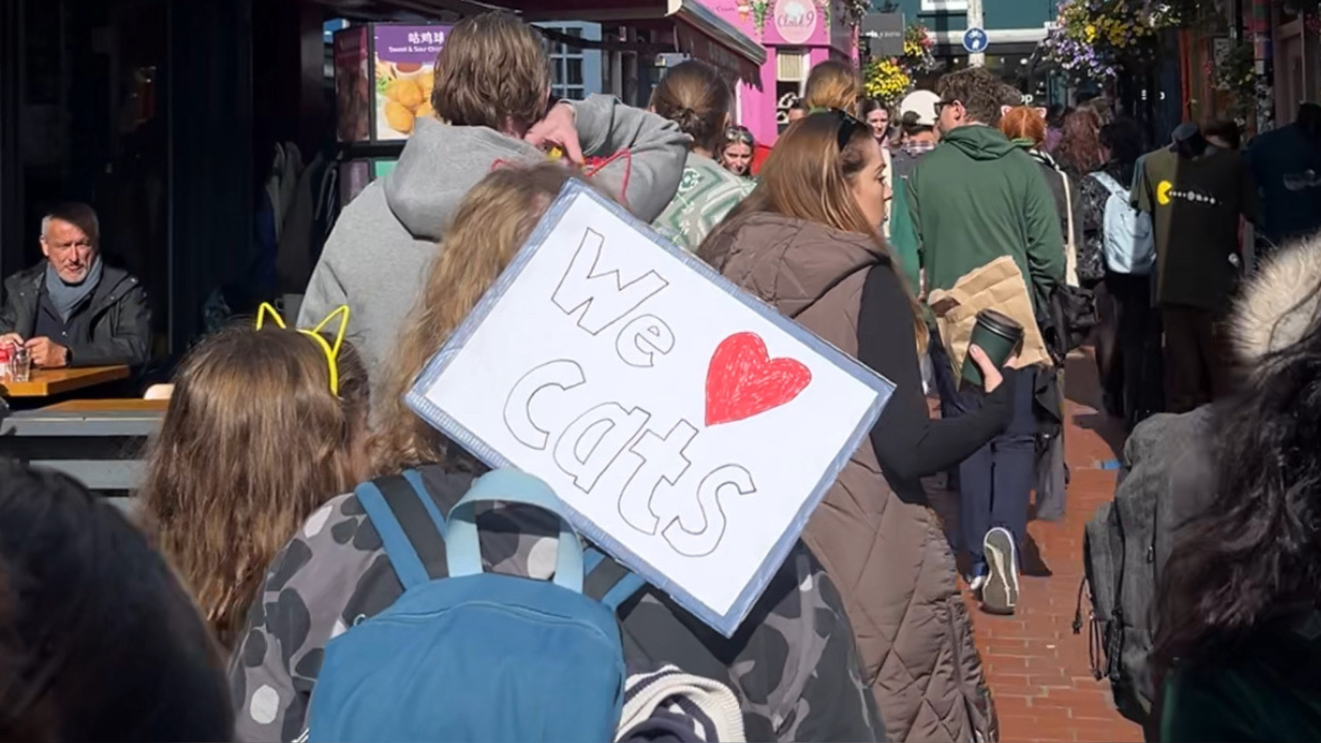 A whiteboard reading "we love cats" is being carried down Kensington Gardens in Brighton by participants on the Brighton Cat Tour. The street is busy as tour goers weave through crowds of shoppers to their next destination.