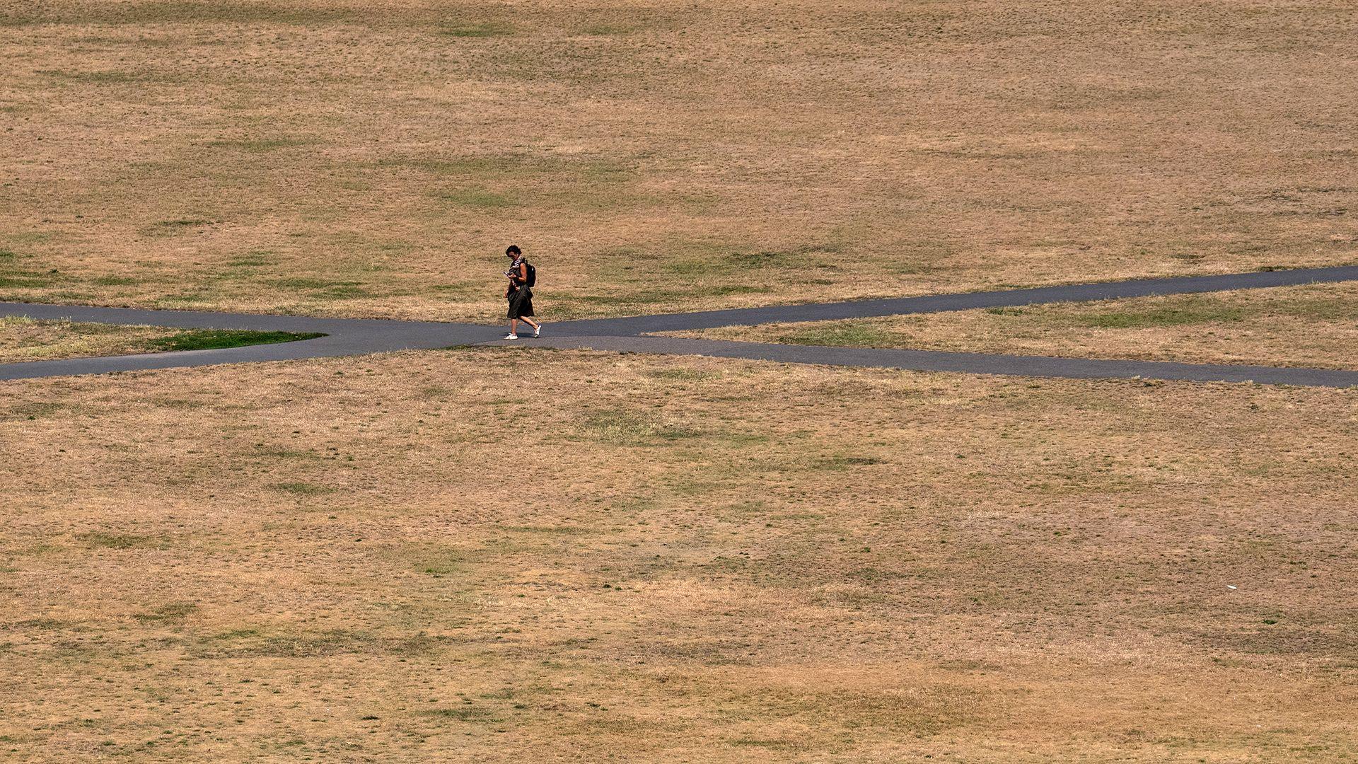 A person walks through a parched looking Greenwich Park, with brown patchy grass and tarmac paths, on Friday.