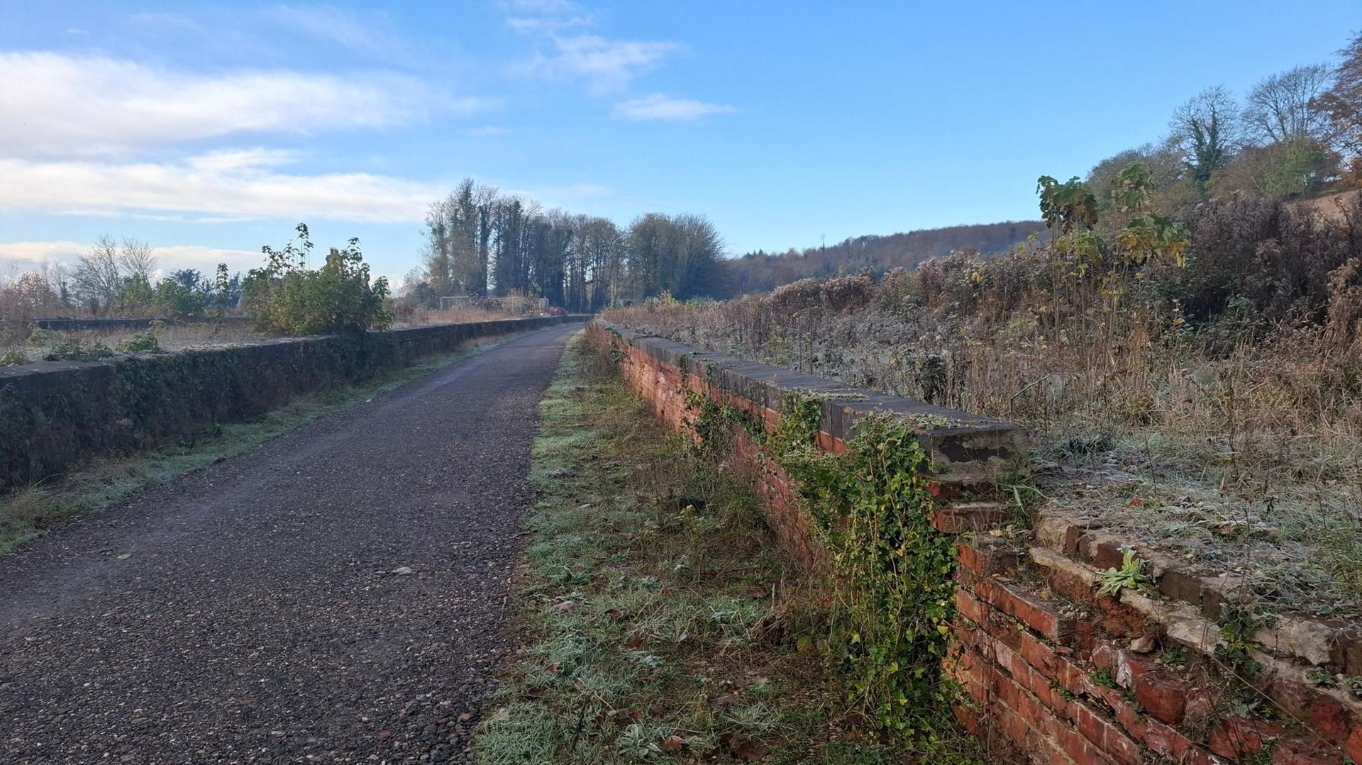 A photo showing Singleton Station before works were carried out to turn it into a cycling and walking trail. There is overgrown vegetation covering the brick walls.