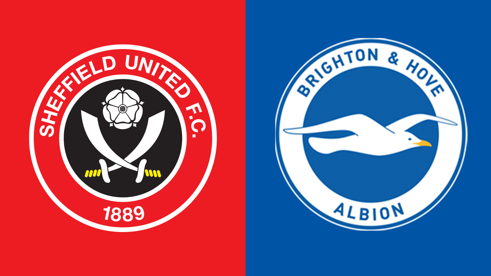 Sheff Utd v Brighton