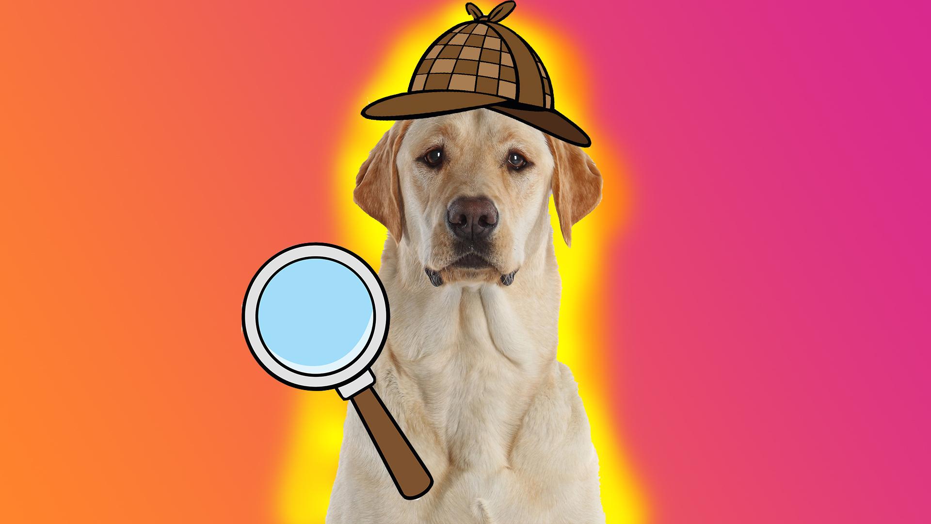 A dog with a Sherlock hat and magnifying glass