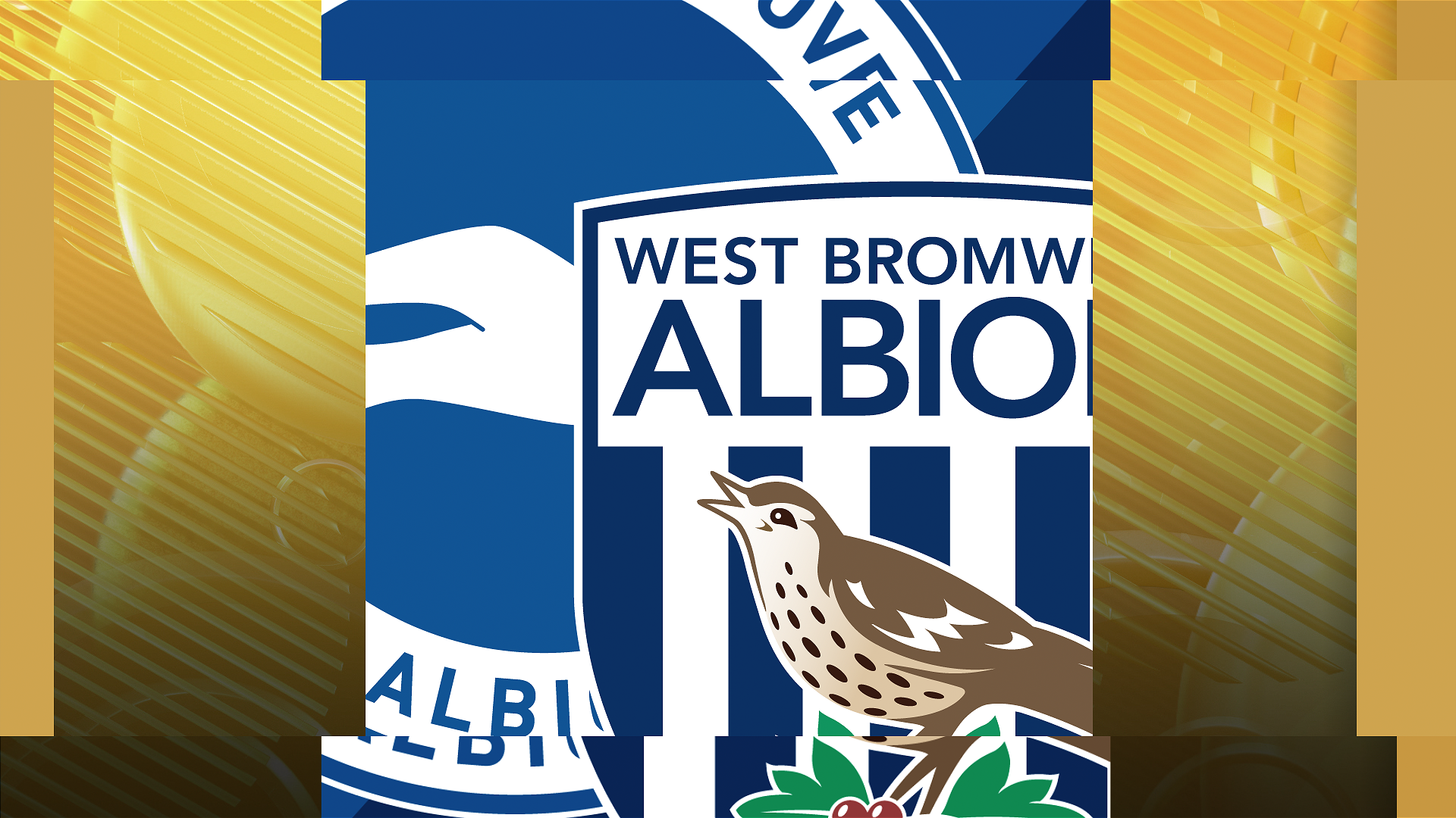 Brighton v West Brom