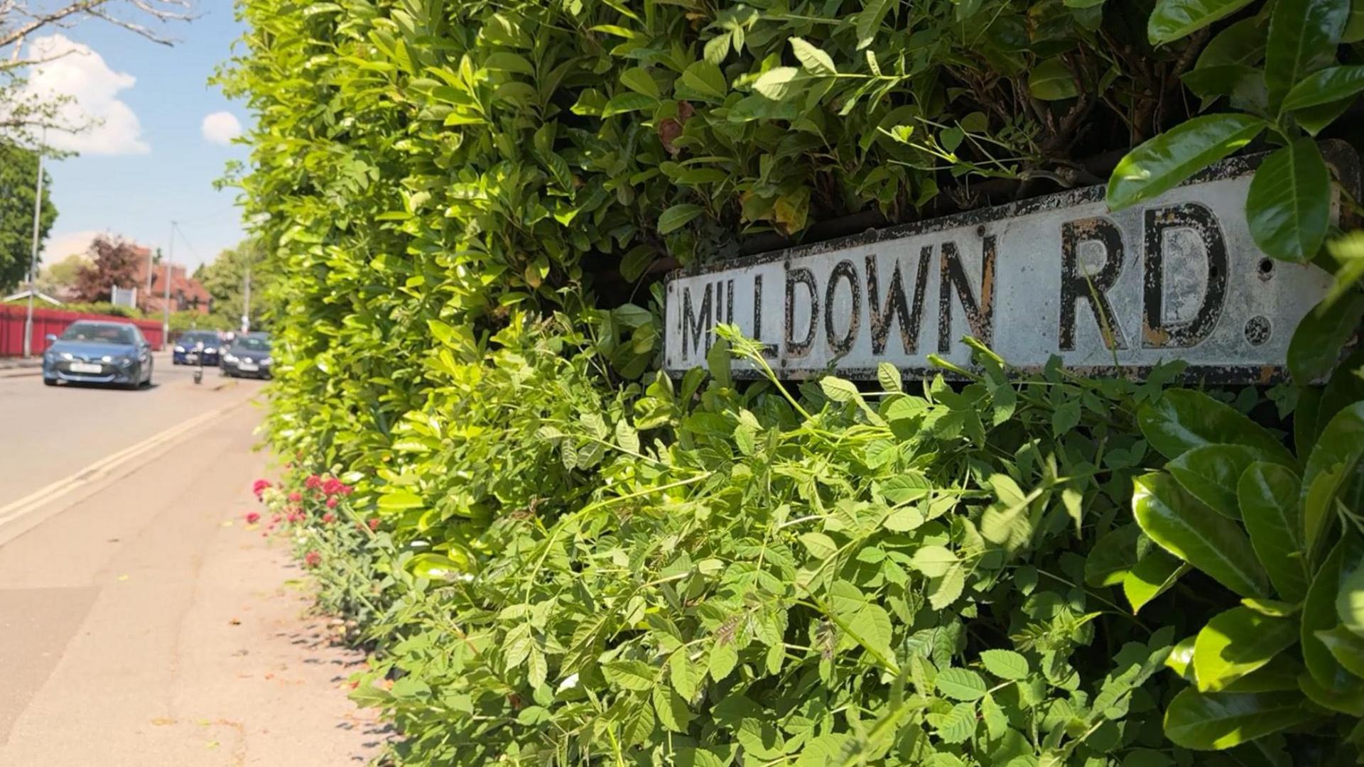 A street sign reading Mildown Rd surrounded by greenery. There are cars on the street. It is a sunny day.