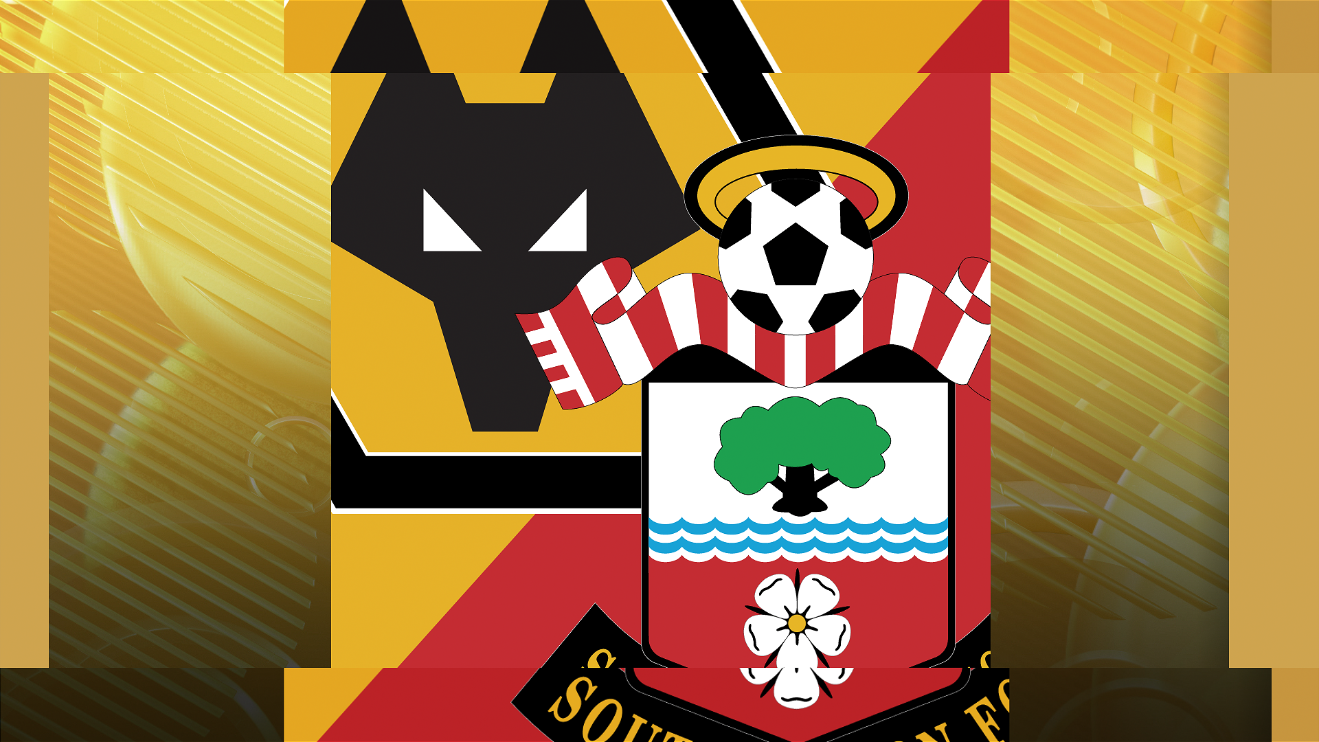 Wolves v Southampton