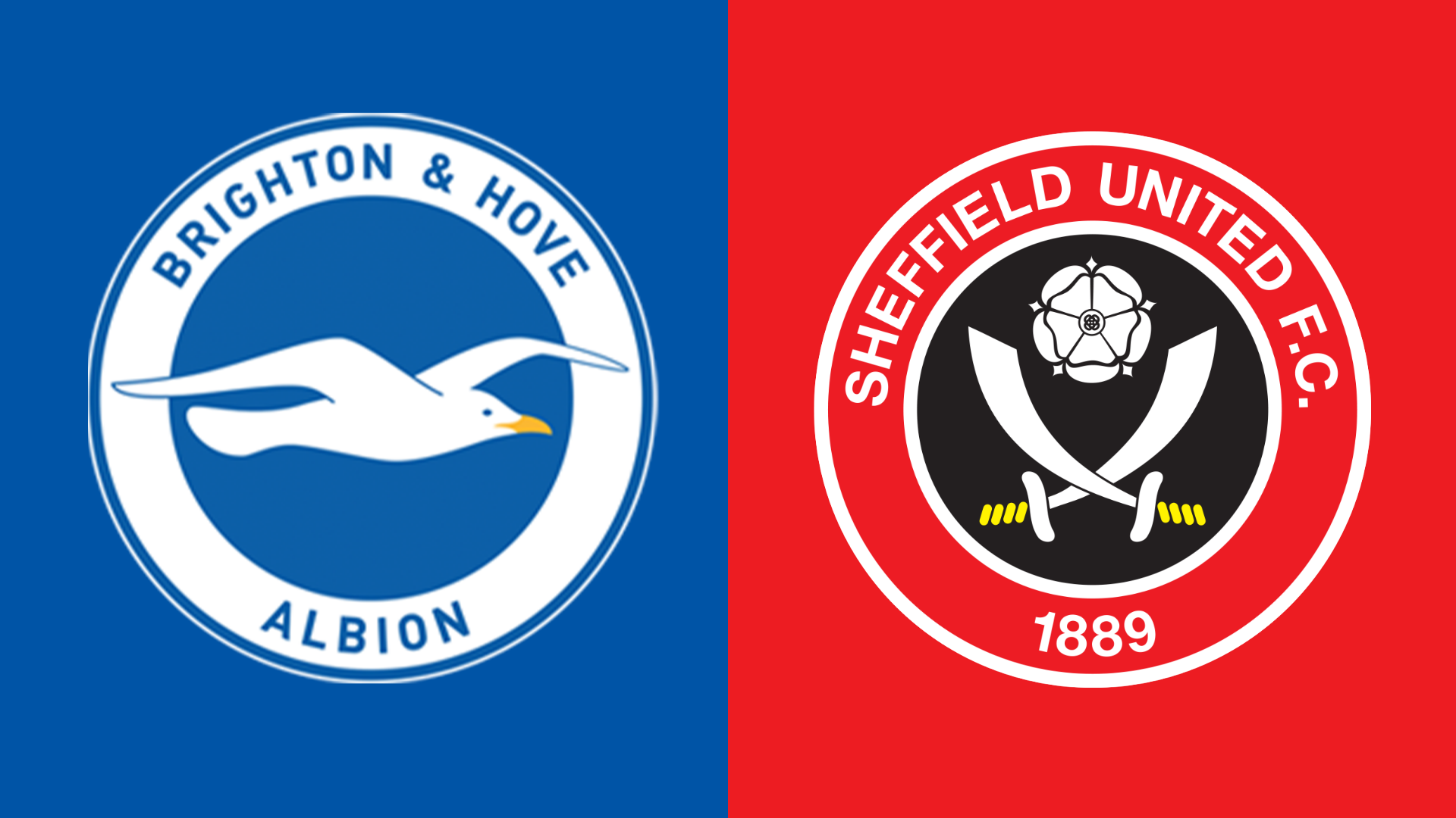 Brighton v Sheff Utd